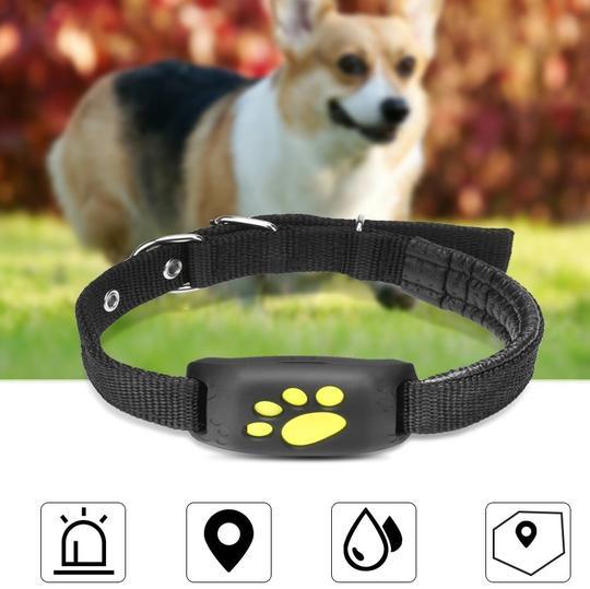 Pet Trackmaster: The Ultimate Gps Pet Tracker-0