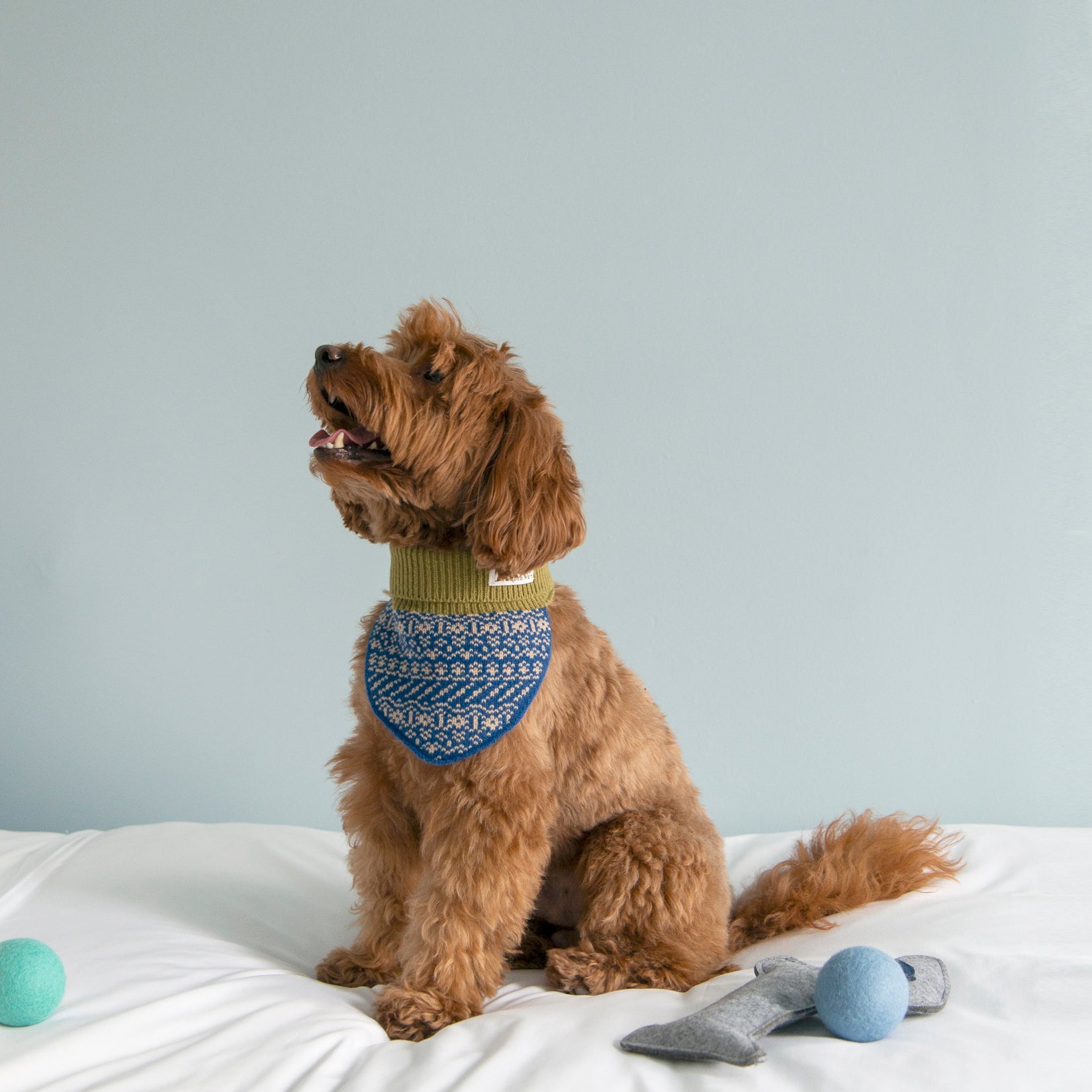 Nooee Pet Wool Neck Warmer – 100% Merino Wool Dog Scarf for Small & Medium Dogs, Lightweight & Warm, Machine Washable, Available in Red or Blue, Sizes S–M