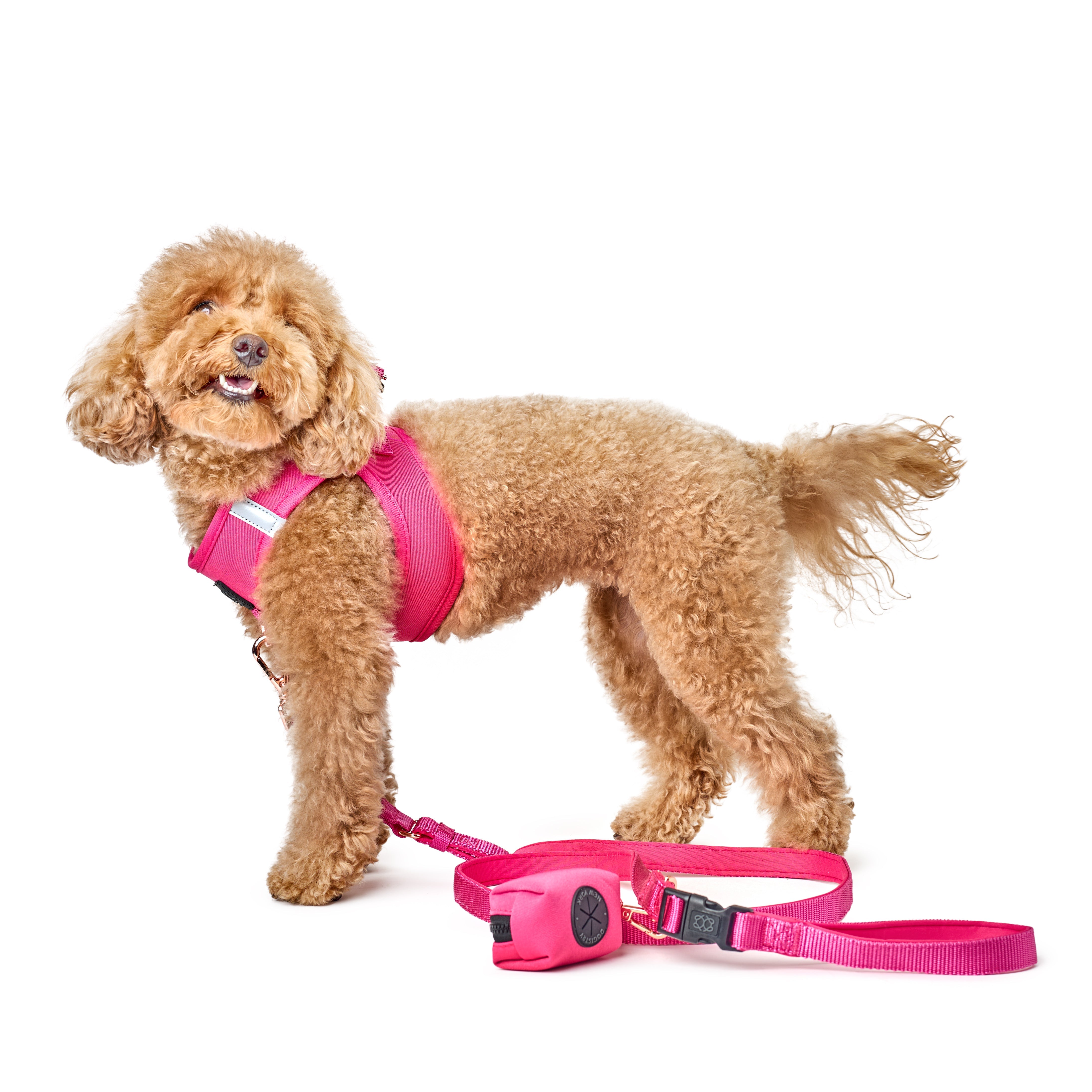 Dogistry 3-in-1 City Dog Leash – Park Ave Pink with Adjustable 2–5 ft Length, Secure Buckled Handle, and Comfort-Enhanced Bungee Design