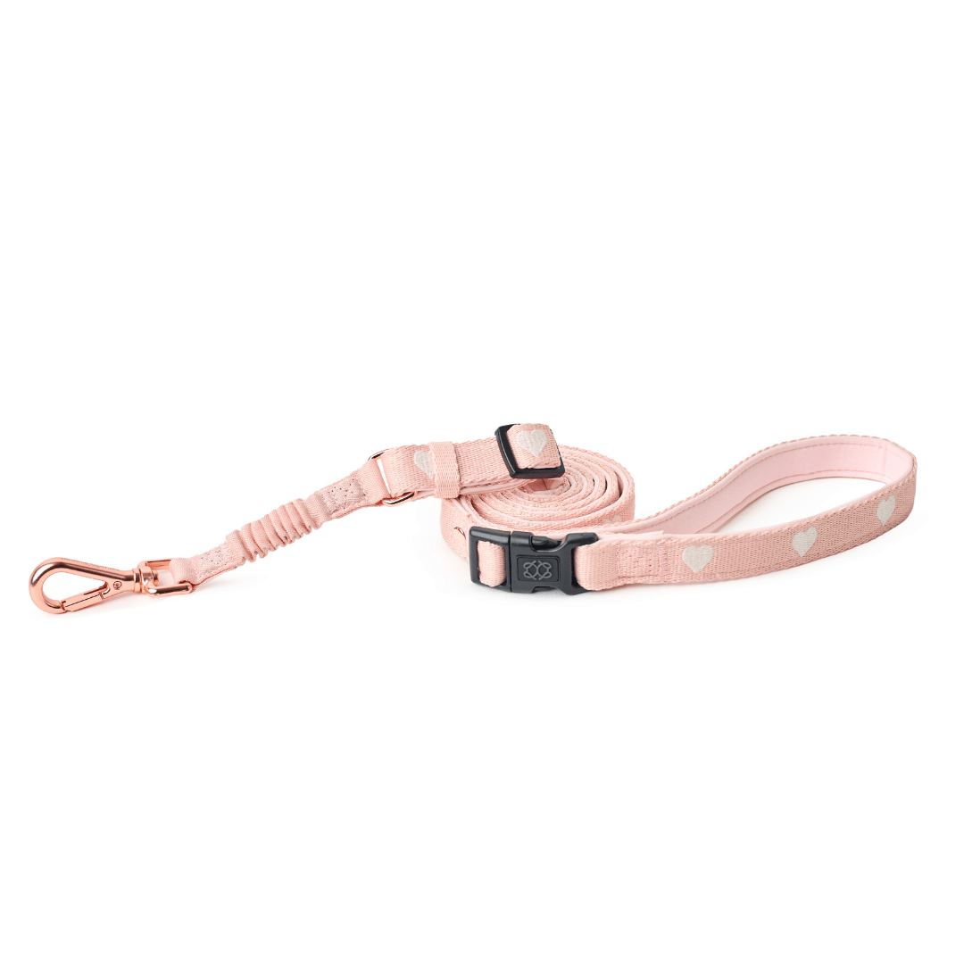 Dogistry 3-in-1 City Dog Leash – Sweetheart Blush with Adjustable 2–5 ft Length, Secure Buckled Handle, and Comfort-Enhanced Bungee Design