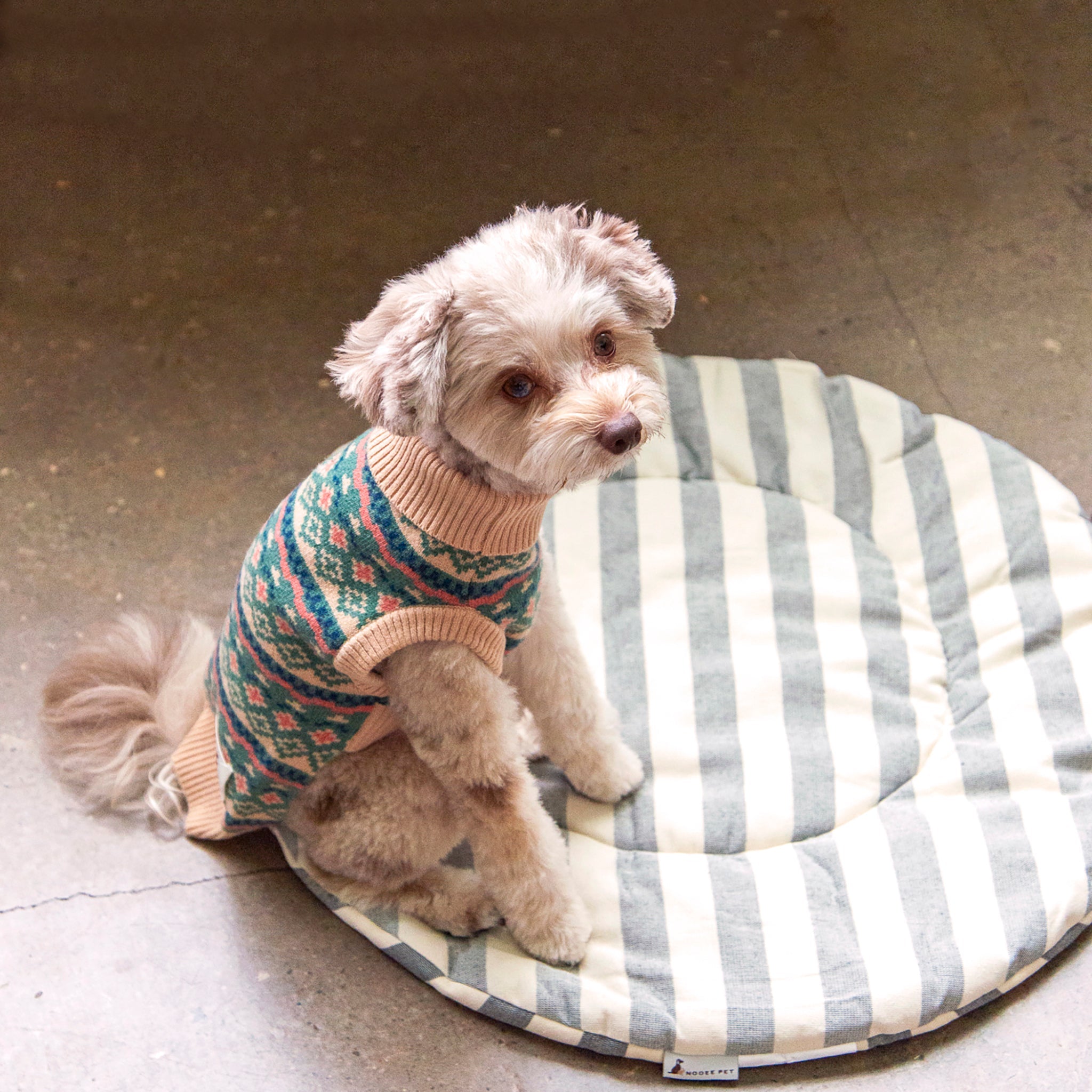 Nooee Pet Replacement Cushion – 100% Cotton Machine-Washable Cushion for Nooee Pet Caves & Domes, Soft & Breathable, Available in Sizes XS–XL