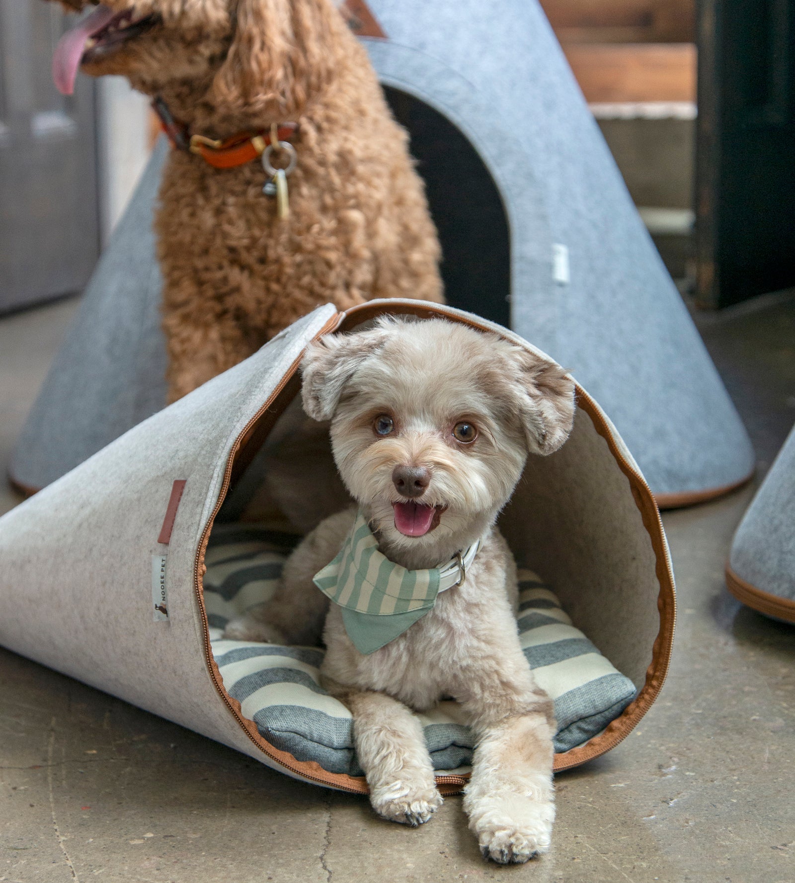 Nooee Pet Nabi Cave – Cream Convertible Pet Bed & Mat for Small Dogs & Cats, Zipper Design with Machine-Washable Cotton Cushion, Fits Pets Up to 5 lbs, 14”H x 20”L x 24”D