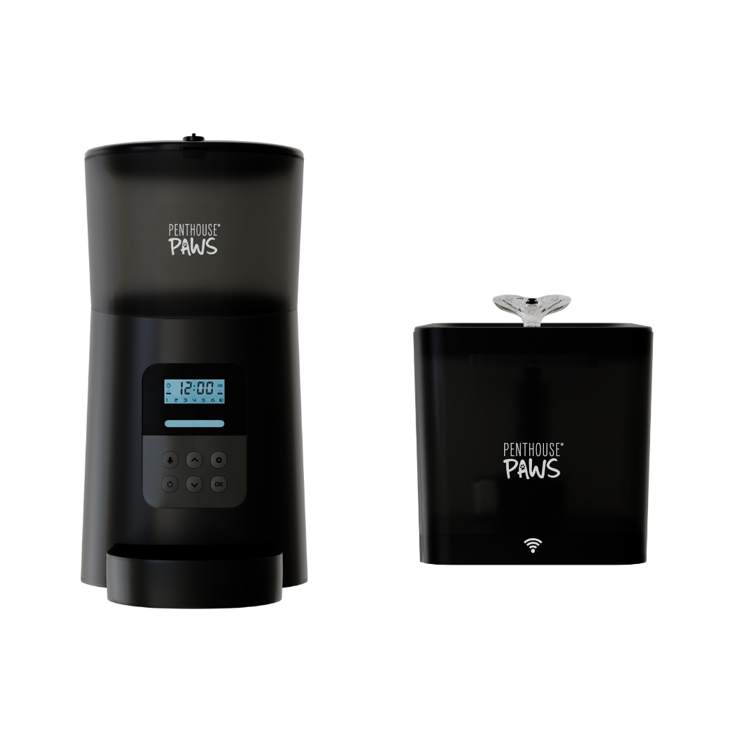 Automatic Cat Feeder & Smart Water Fountain – 6L Programmable Pet Feeder with Portion Control, Voice Recording & Twist-Lock Storage + 2.2L App-Controlled BPA-Free Water Dispenser with 5-Level Filtration