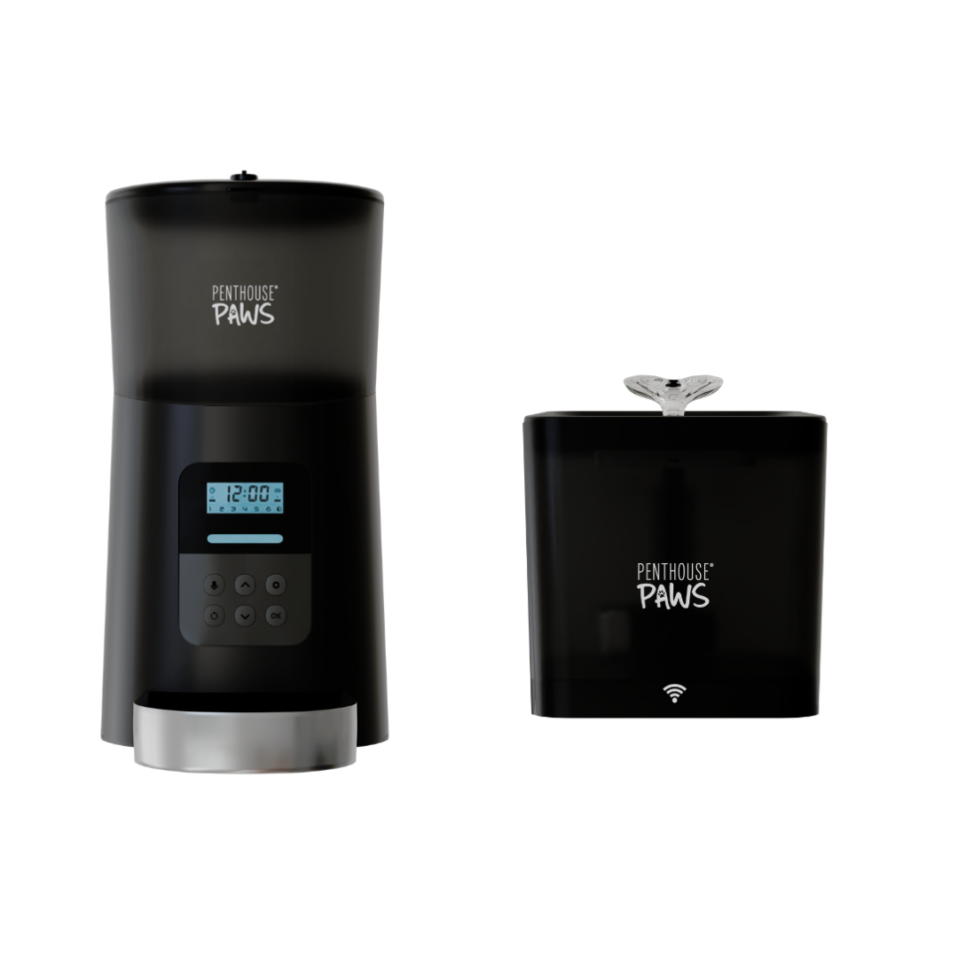 Automatic Cat Feeder & Smart Water Fountain – 6L Programmable Pet Feeder with Portion Control, Voice Recording & Twist-Lock Storage + 2.2L App-Controlled BPA-Free Water Dispenser with 5-Level Filtration