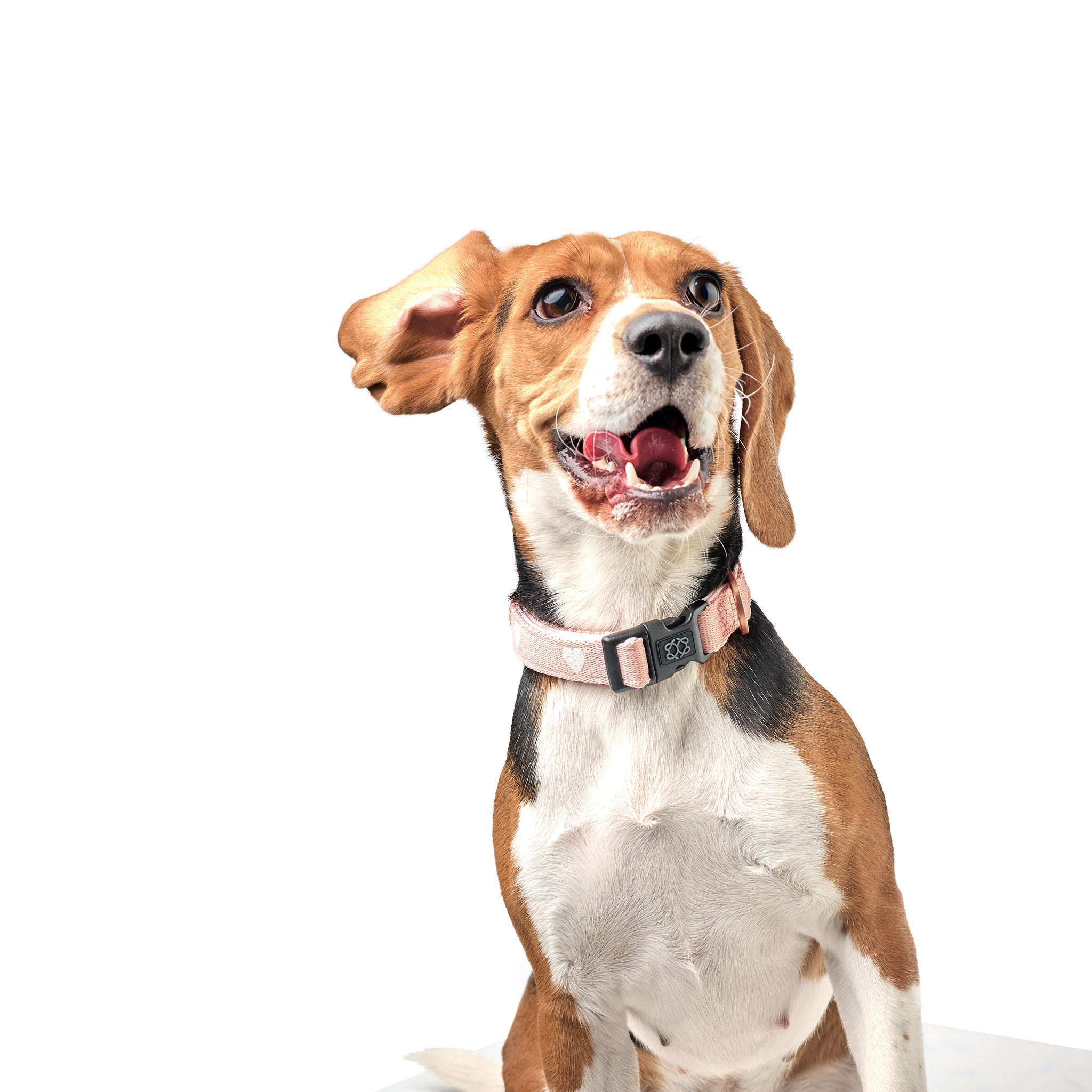 Dogistry City Dog Collar – Blush Pink with Cream Heart Embroidery, Soft Padded Neoprene, and Exclusive Dogistry Fabric, Adjustable Luxury Design for All Breeds