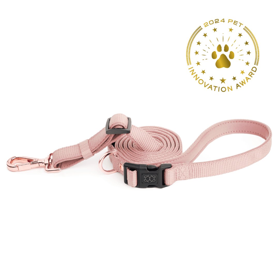 Dogistry City Adjustable-Length Hands-Free Dog Leash – Blush Pink with 2–5 ft Range, Dual Width Options, and Award-Winning Comfort Design