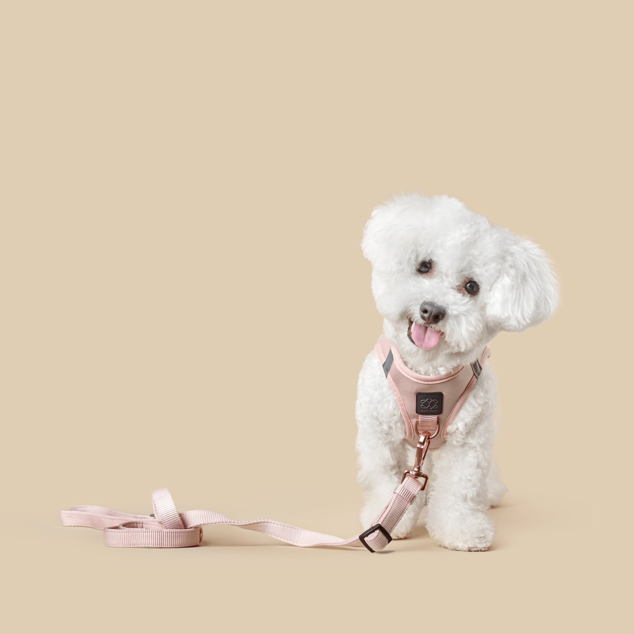 Dogistry City Adjustable-Length Hands-Free Dog Leash – Blush Pink with 2–5 ft Range, Dual Width Options, and Award-Winning Comfort Design