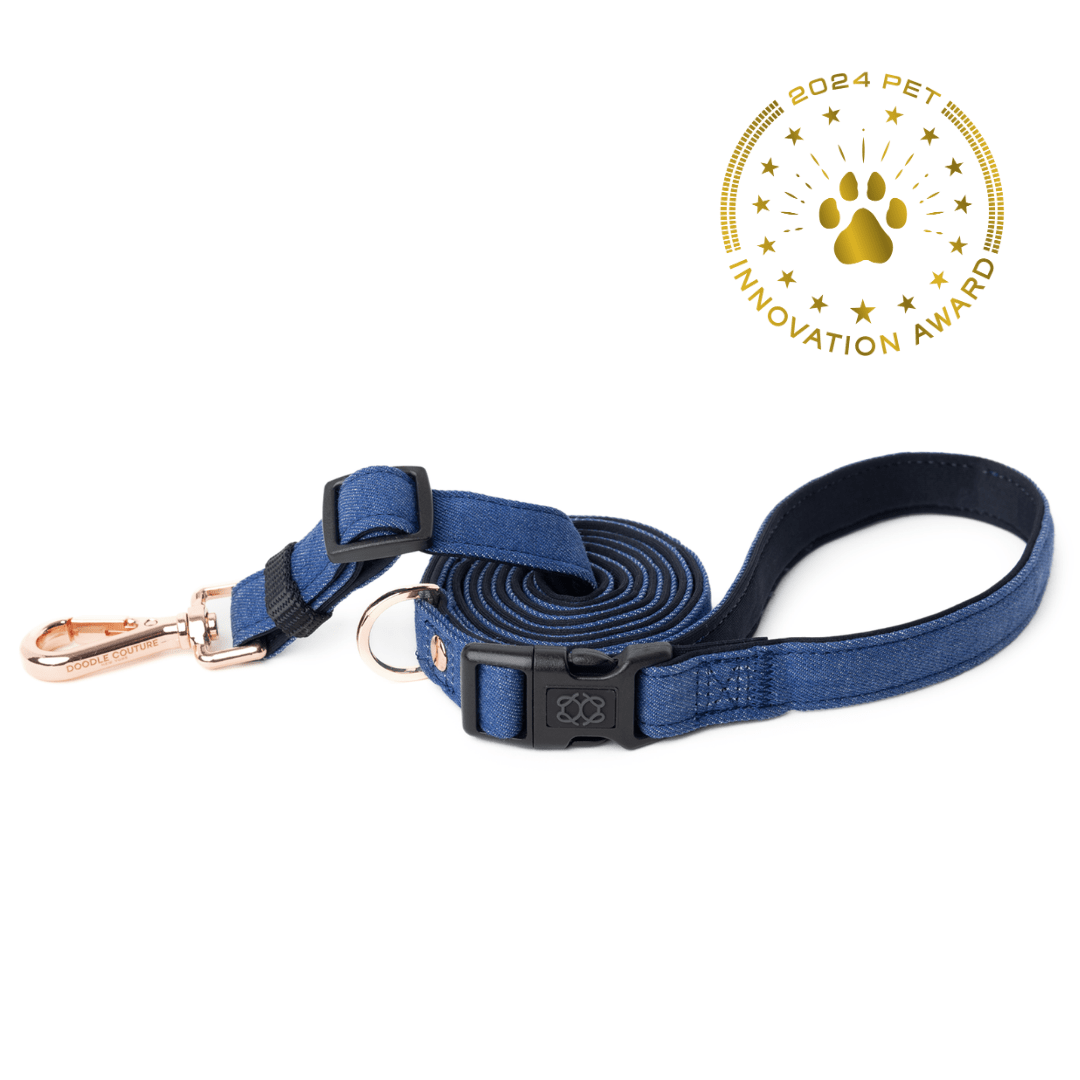 Dogistry City Adjustable-Length Hands-Free Dog Leash – Denim Blue with 2–5 ft Range, Dual Width Options, and Award-Winning Comfort Design