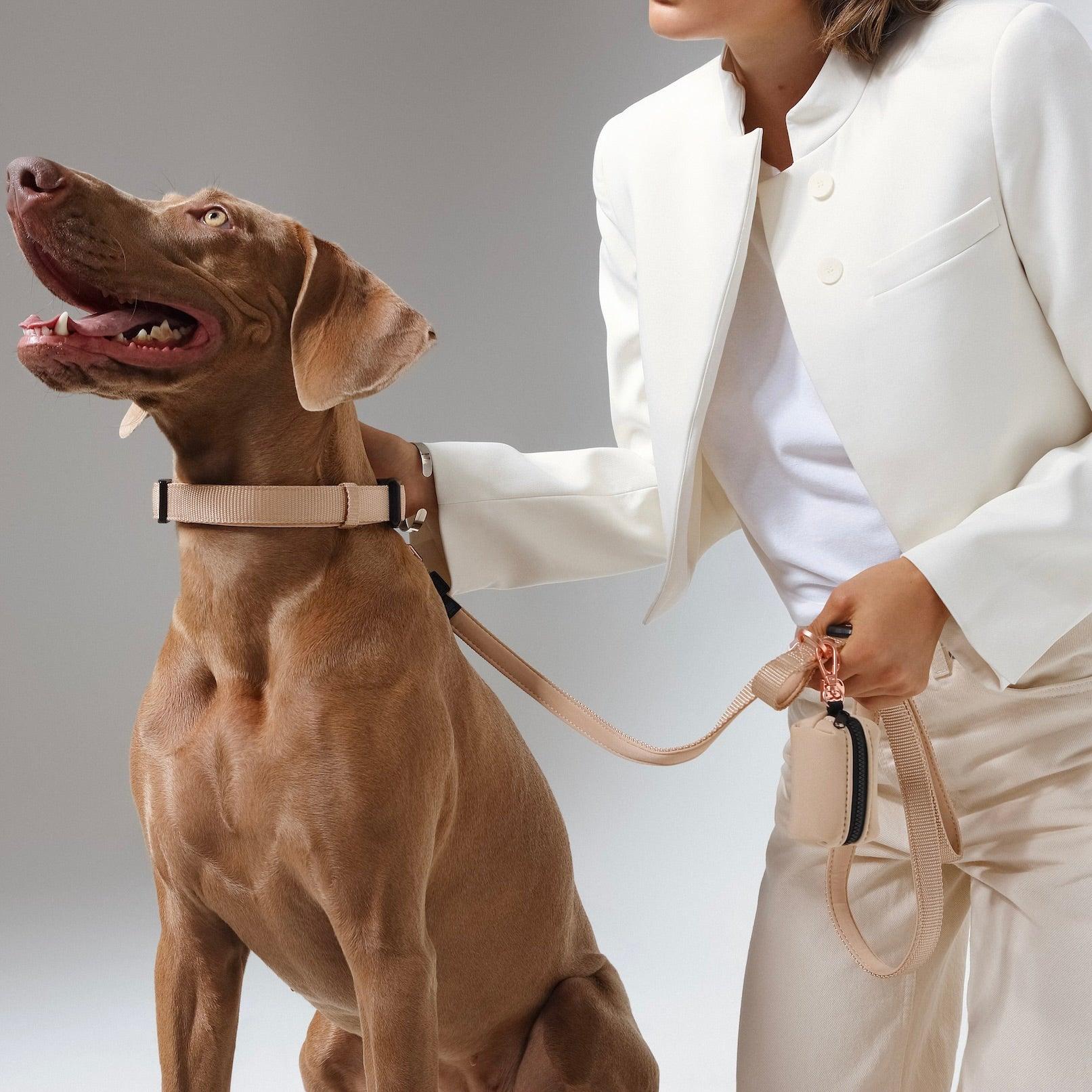 Dogistry City Dog Collar – Dune Beige with Soft Padded Neoprene and Exclusive Dogistry Fabric, Adjustable Luxury Design for All Breeds