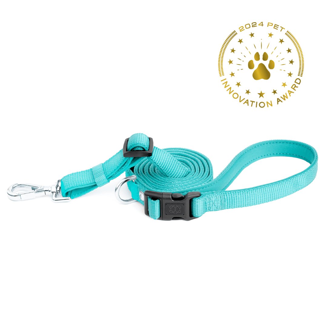 Dogistry City Adjustable-Length Hands-Free Dog Leash – Fifth Avenue Blue with 2–5 ft Range, Dual Width Options, and Award-Winning Comfort Design