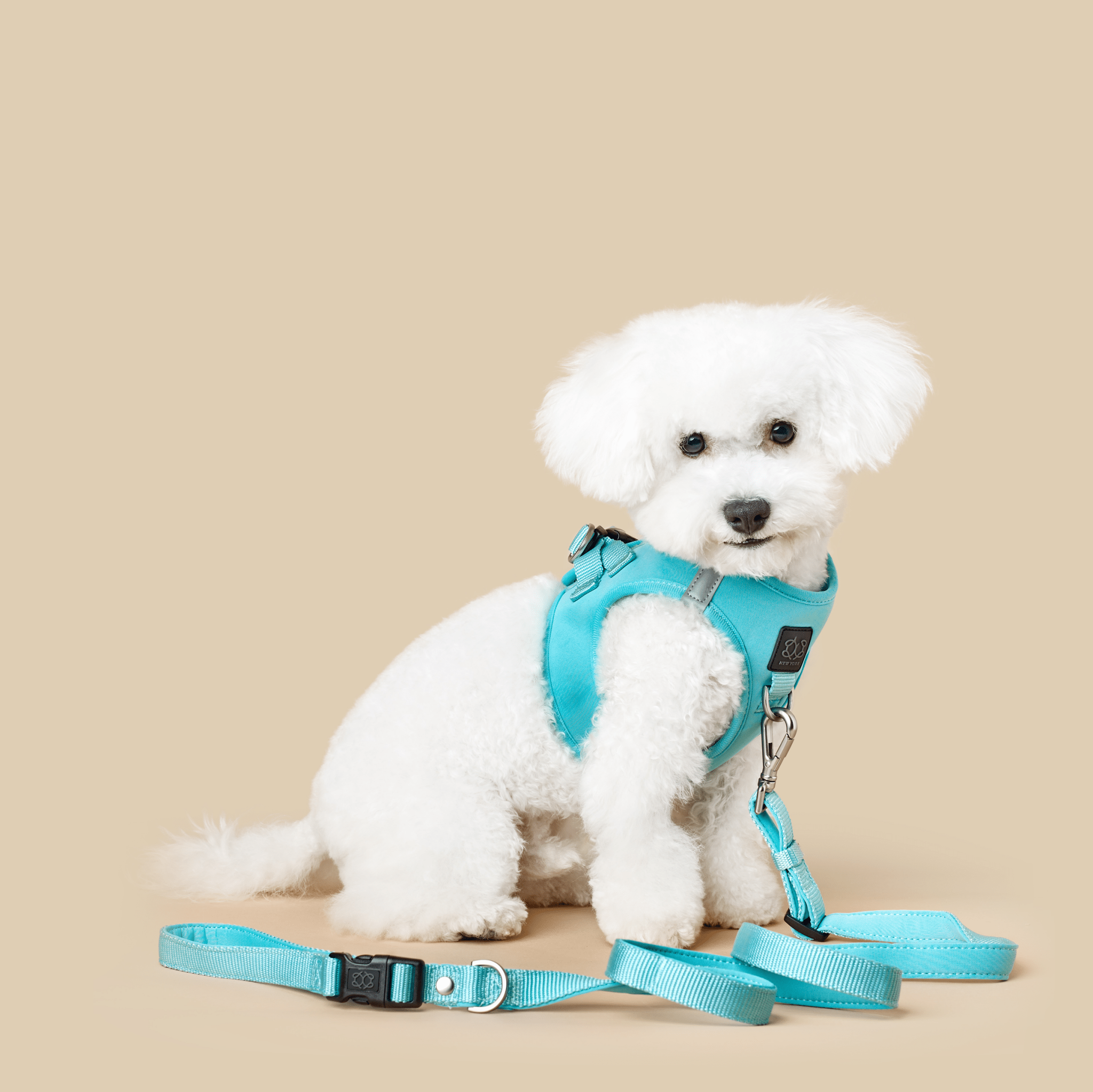 Dogistry City Adjustable-Length Hands-Free Dog Leash – Fifth Avenue Blue with 2–5 ft Range, Dual Width Options, and Award-Winning Comfort Design