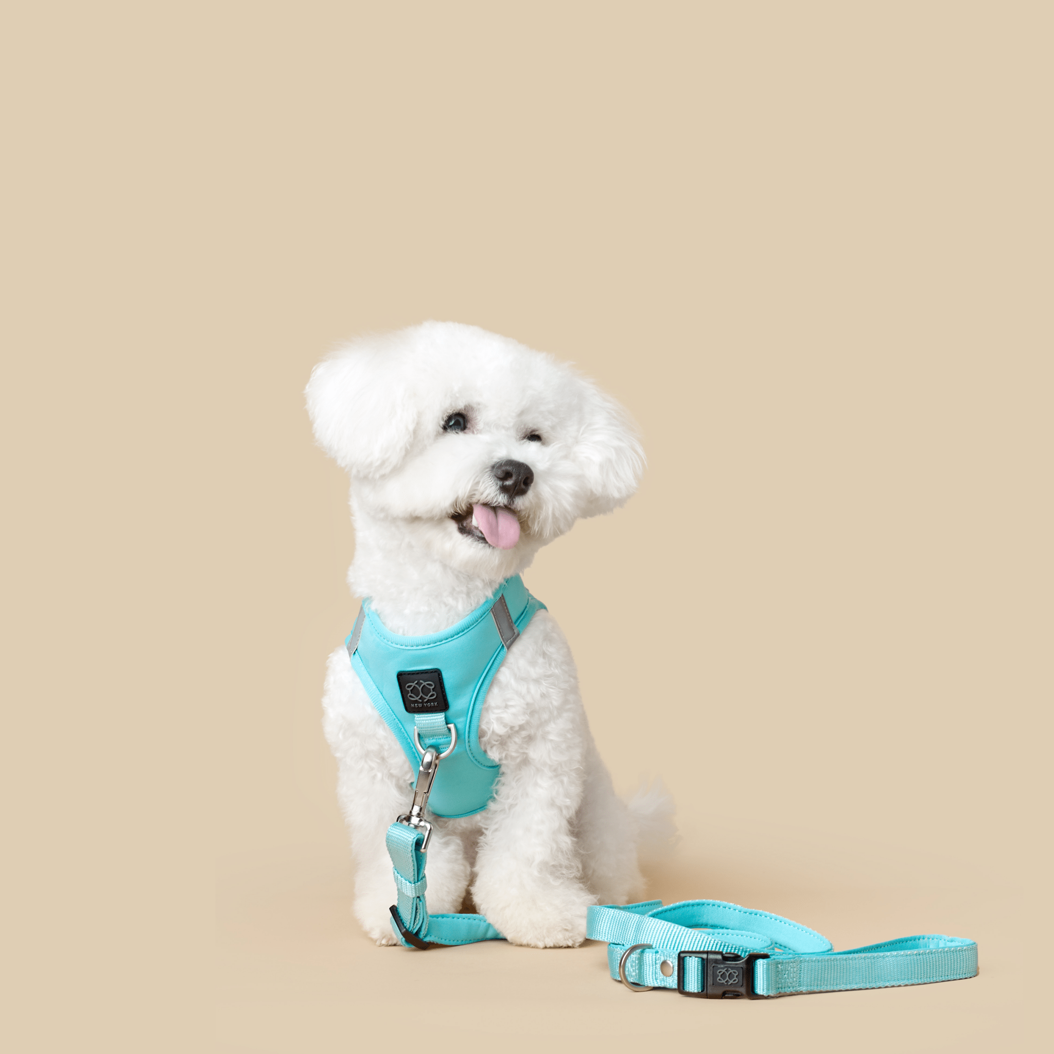 Dogistry City Adjustable-Length Hands-Free Dog Leash – Fifth Avenue Blue with 2–5 ft Range, Dual Width Options, and Award-Winning Comfort Design