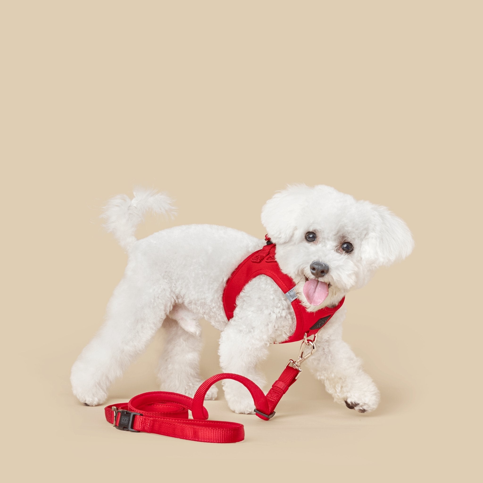 Dogistry City Adjustable-Length Hands-Free Dog Leash – Iconic Red with 2–5 ft Range, Dual Width Options, and Award-Winning Comfort Design