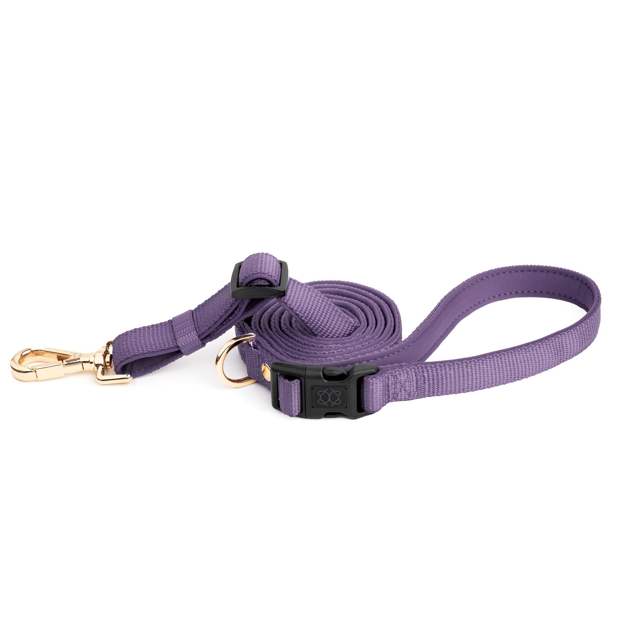 Dogistry City Adjustable-Length Hands-Free Dog Leash – Lilac Gray with 2–5 ft Range, Dual Width Options, and Award-Winning Comfort Design