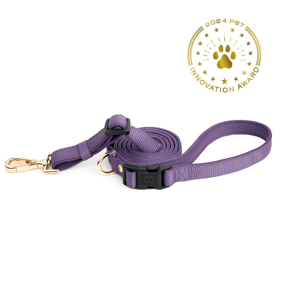Dogistry City Adjustable-Length Hands-Free Dog Leash – Lilac Gray with 2–5 ft Range, Dual Width Options, and Award-Winning Comfort Design