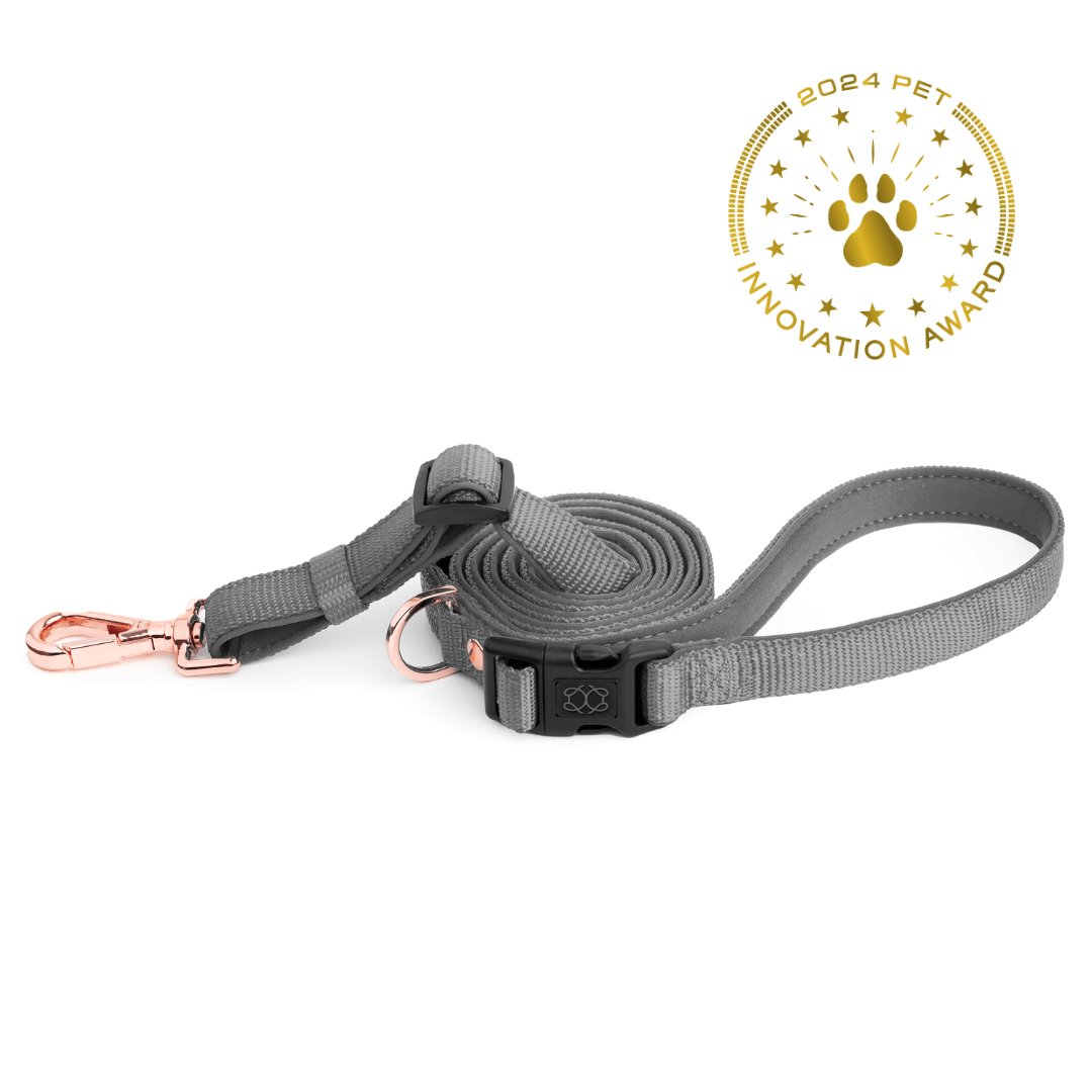 Dogistry City Adjustable-Length Hands-Free Dog Leash – Steel Gray with 2–5 ft Range, Dual Width Options, and Award-Winning Comfort Design