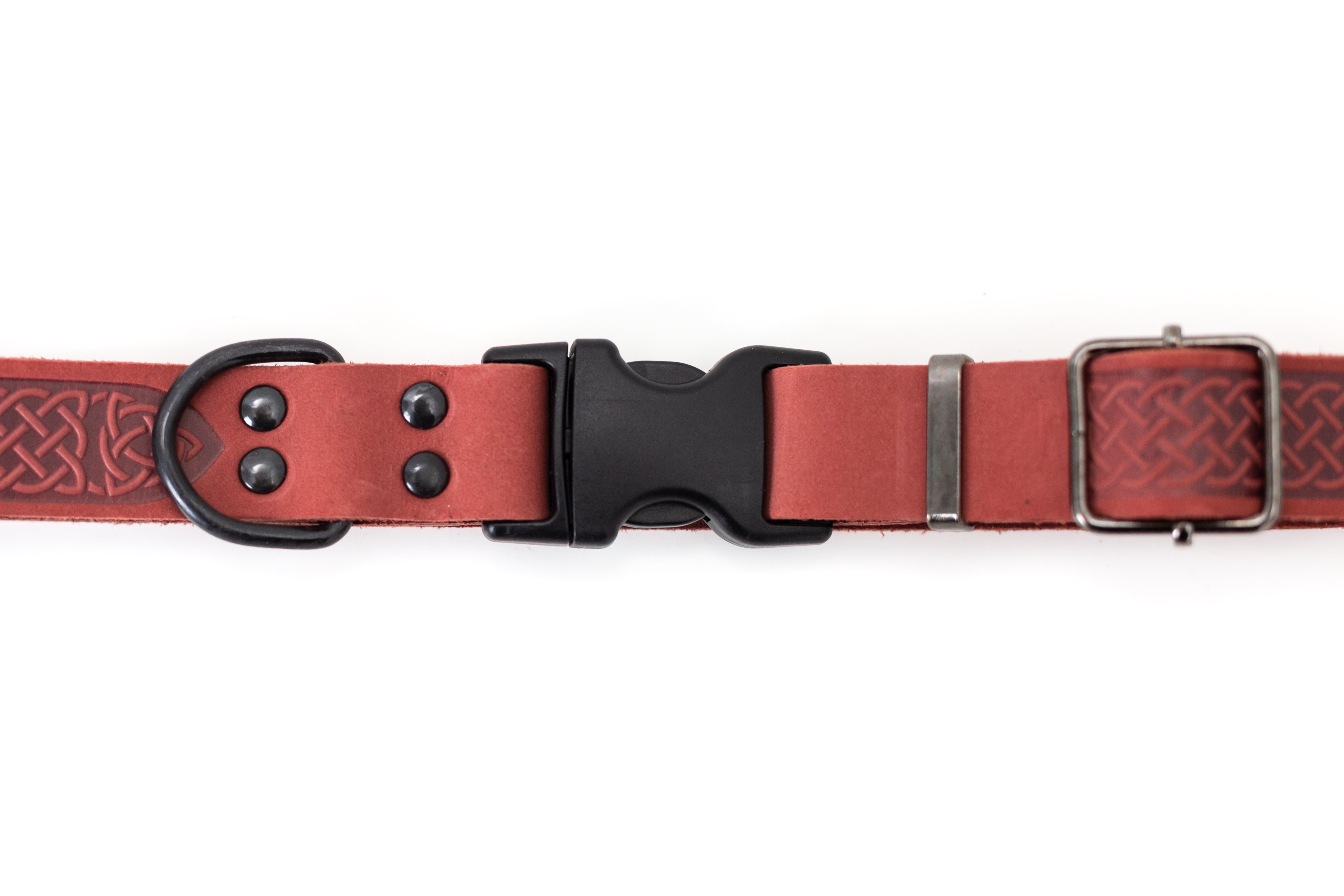 Celtic Sport Quick-Release Dog Collar – Coral Reef Leather with Black Hardware, Celtic Fire & Water Rune Design, and YKK Buckle