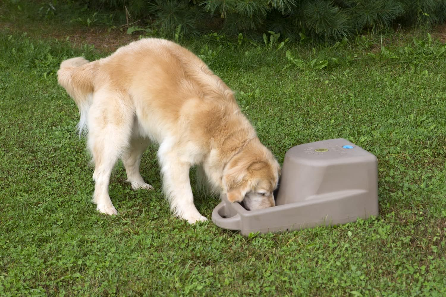 Dakota 283 Dash 5.0 Dog Watering System with Dakota Guard Antimicrobial – Coyote Granite, Dark Granite, Olive & Orange