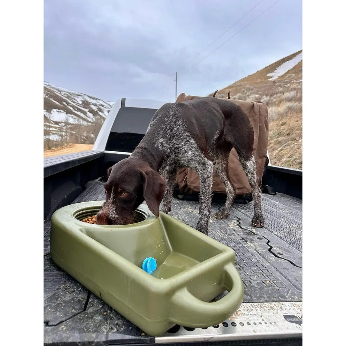 Dakota 283 Dine N Dash Dog Feeding System with Dakota Guard Antimicrobial – Coyote Granite, Dark Granite, Olive & Orange