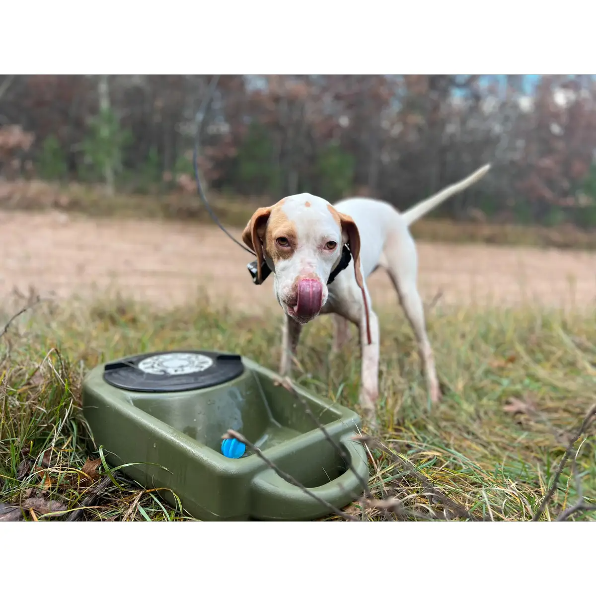 Dakota 283 Dine N Dash Dog Feeding System with Dakota Guard Antimicrobial – Coyote Granite, Dark Granite, Olive & Orange