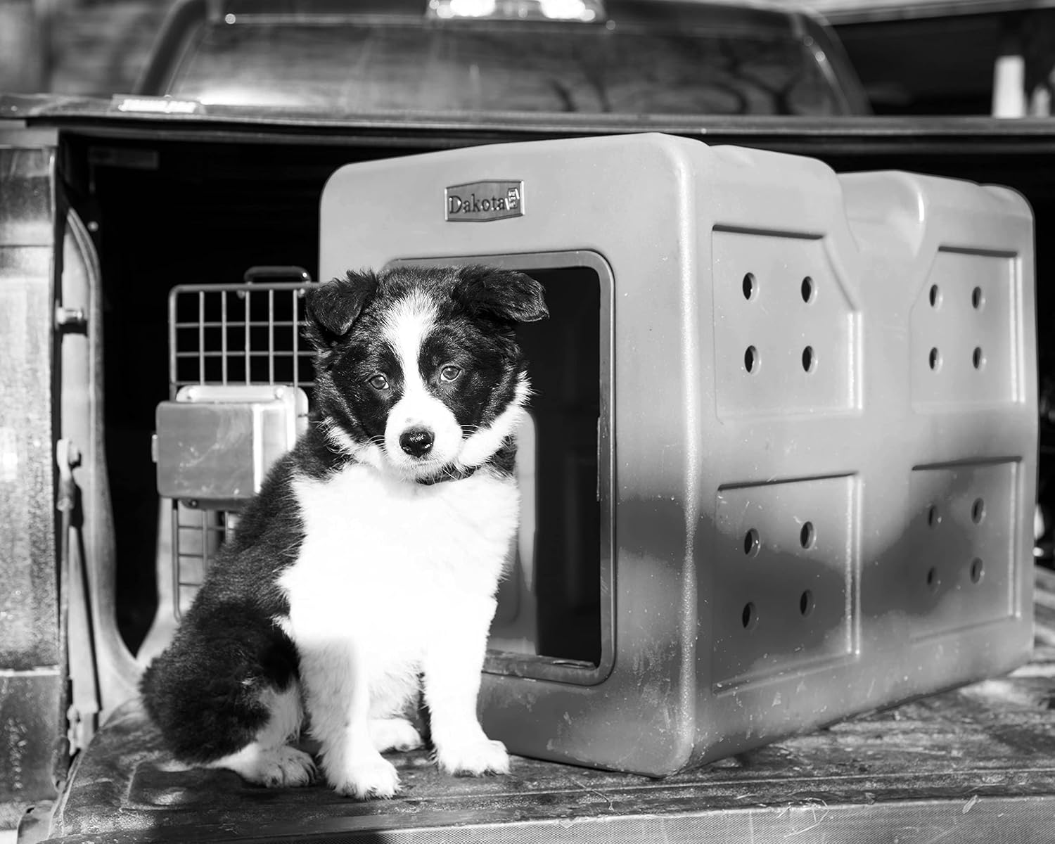 Dakota 283 G3 Small Framed Door Dog Kennel with Dakota Guard Antimicrobial – Coyote Granite & Dark Granite