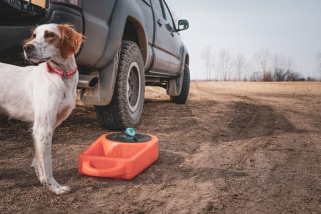 Dakota 283 Dine N Dash Dog Feeding System – Coyote Granite, Dark Granite, Olive & Orange