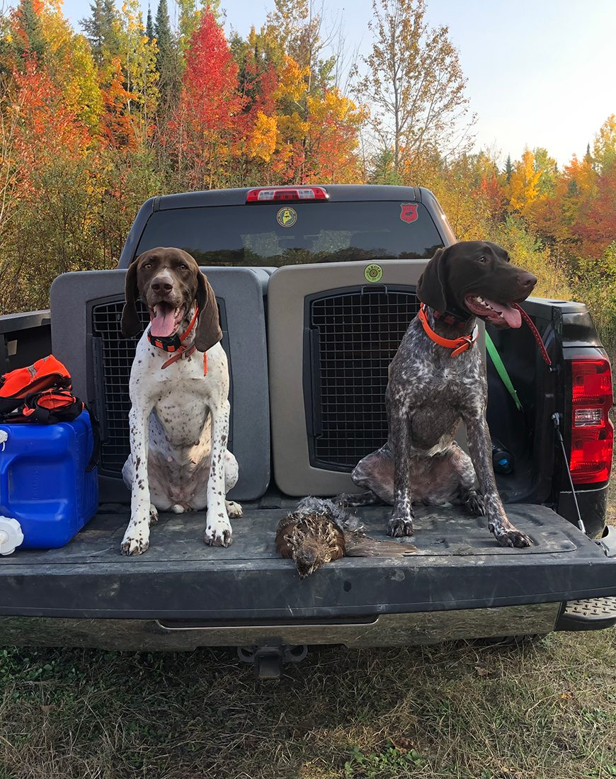 Dakota 283 G3 Framed Door Dog Kennels – Small, Medium, Large & X-Large – Coyote Granite, Dark Granite, Olive, Orange, Blue, Pink, Purple & Sandstone