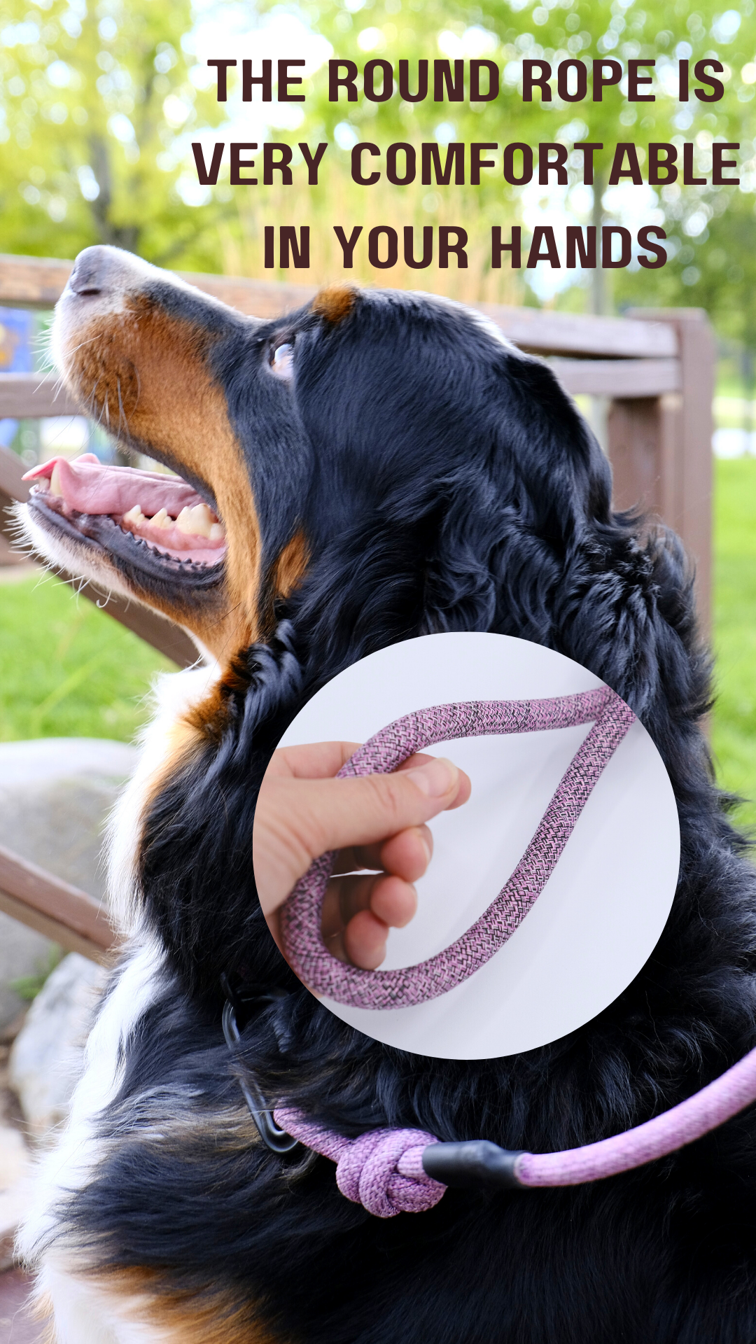 Adventure Style Mountain Blush Nylon Climbing Rope Dog Leash – Durable Design with Locking Aluminum Carabiner