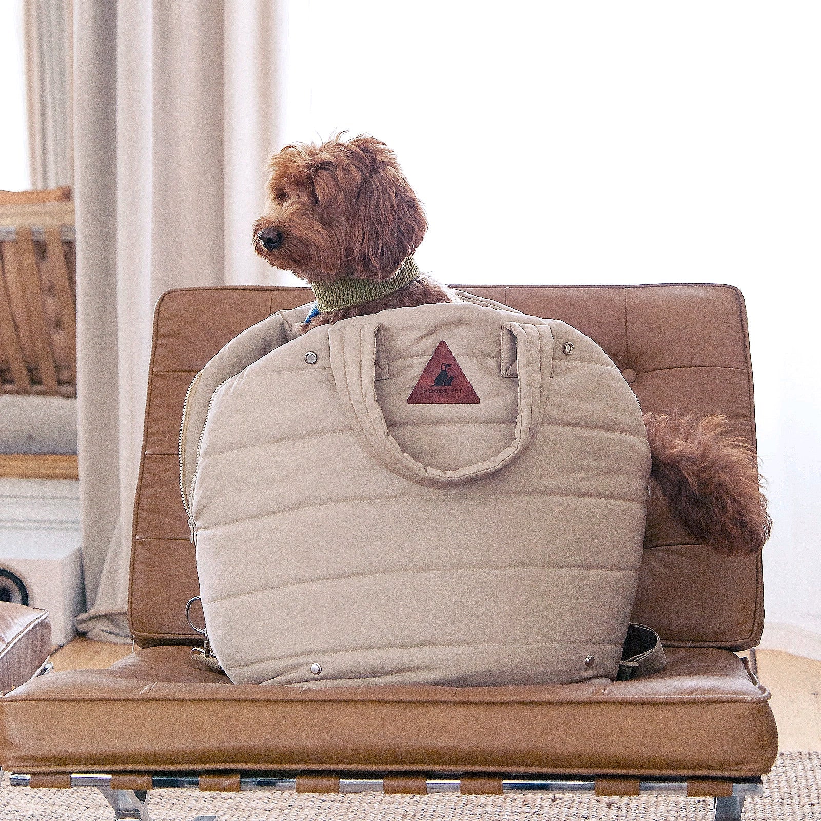 Nooee Pet Car Seat Lola – Cream Nylon Convertible Dog Car Booster Seat with Safety Tether, Dual-Sided Removable Cushion (Fleece & Waterproof), Fits Pets Up to 15 lbs, 15” x 16”