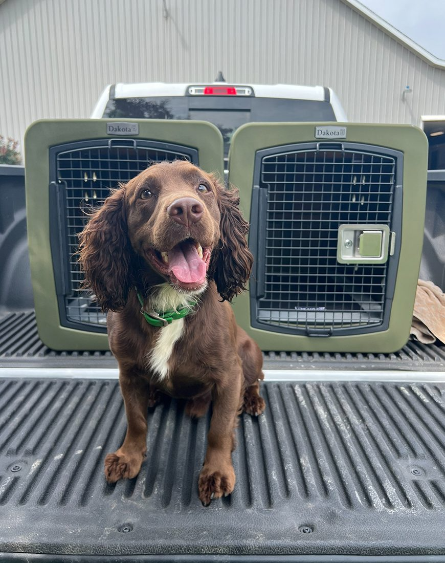 Dakota 283 G3 Framed Door Dog Kennels – Small, Medium, Large & X-Large – Coyote Granite, Dark Granite, Olive, Orange, Blue, Pink, Purple & Sandstone