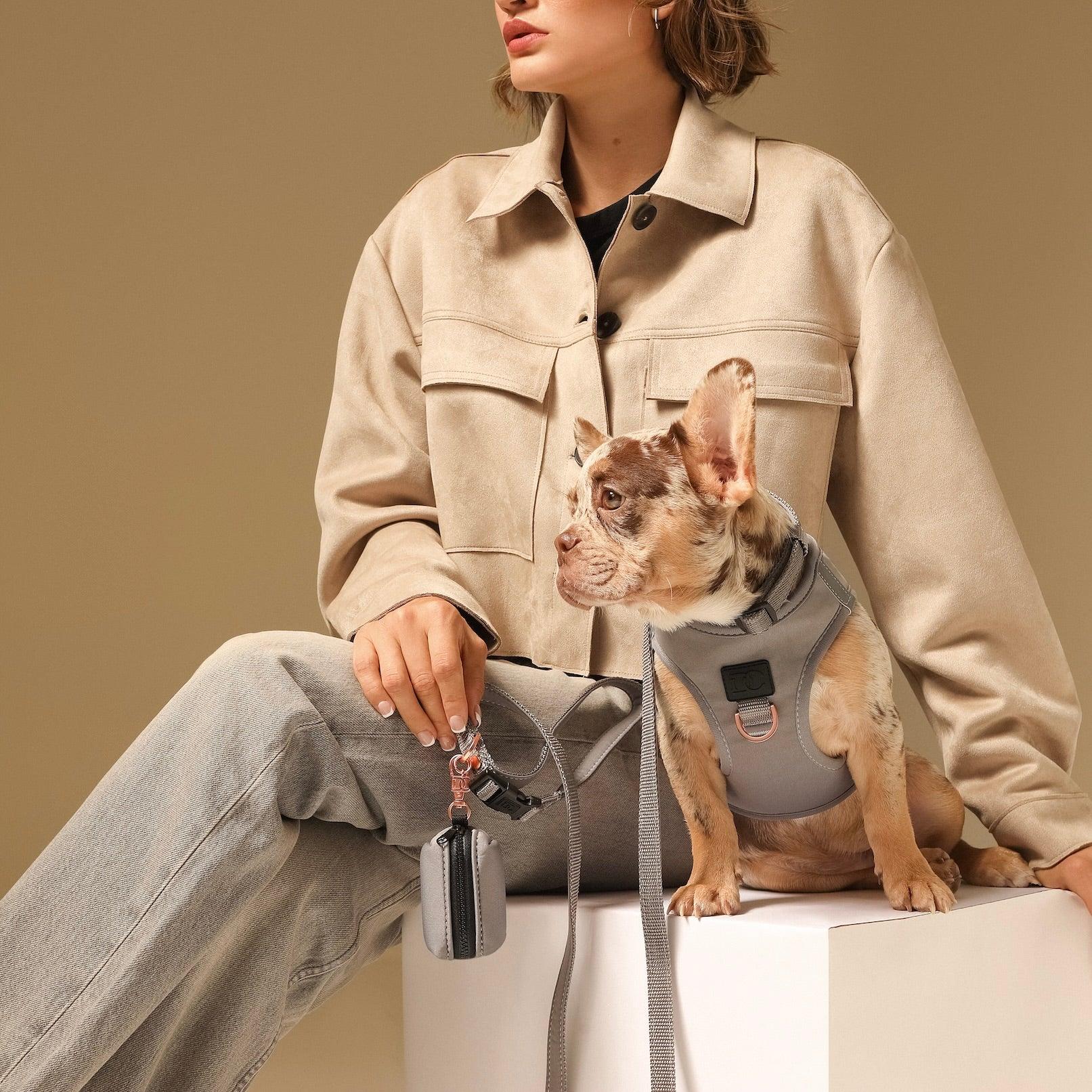 Dogistry Dog Waste Bag Holder – Steel Gray Cotton Twill with Rose Gold Clasp, Fits Standard Rolls, Includes Bags, 3” x 2.5” x 2”