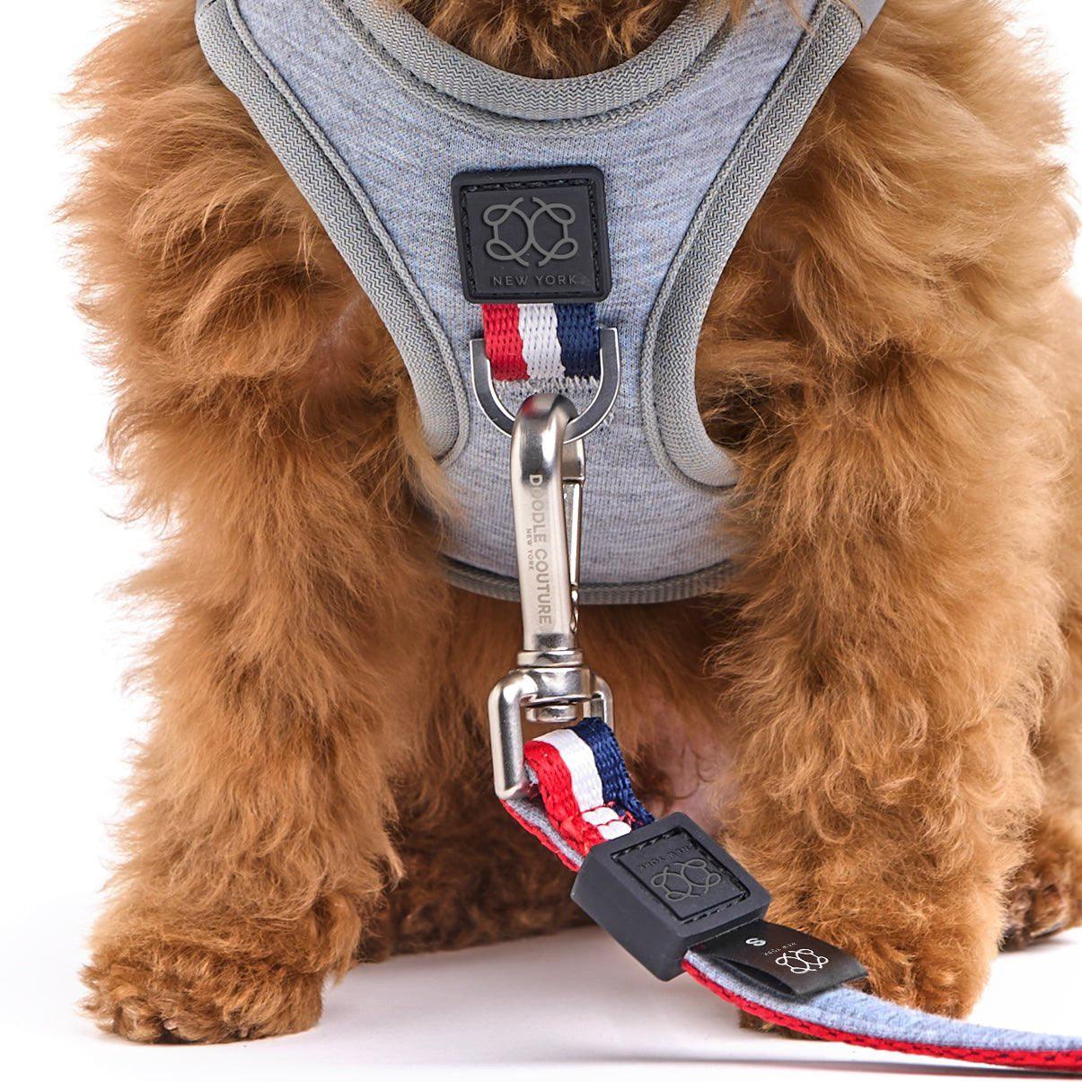 Dogistry SoHo No-Pull Step-In Dog Harness – Champion Gray with Front D-Ring, Adjustable Velcro & Buckle Closures, Escape-Resistant Luxury Design