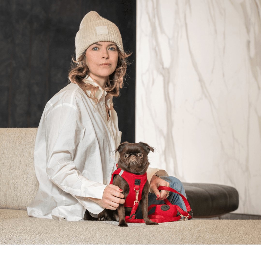 Dogistry SoHo No-Pull Step-In Dog Harness – Iconic Red with Front D-Ring, Adjustable Velcro & Buckle Closures, Escape-Resistant Luxury Design