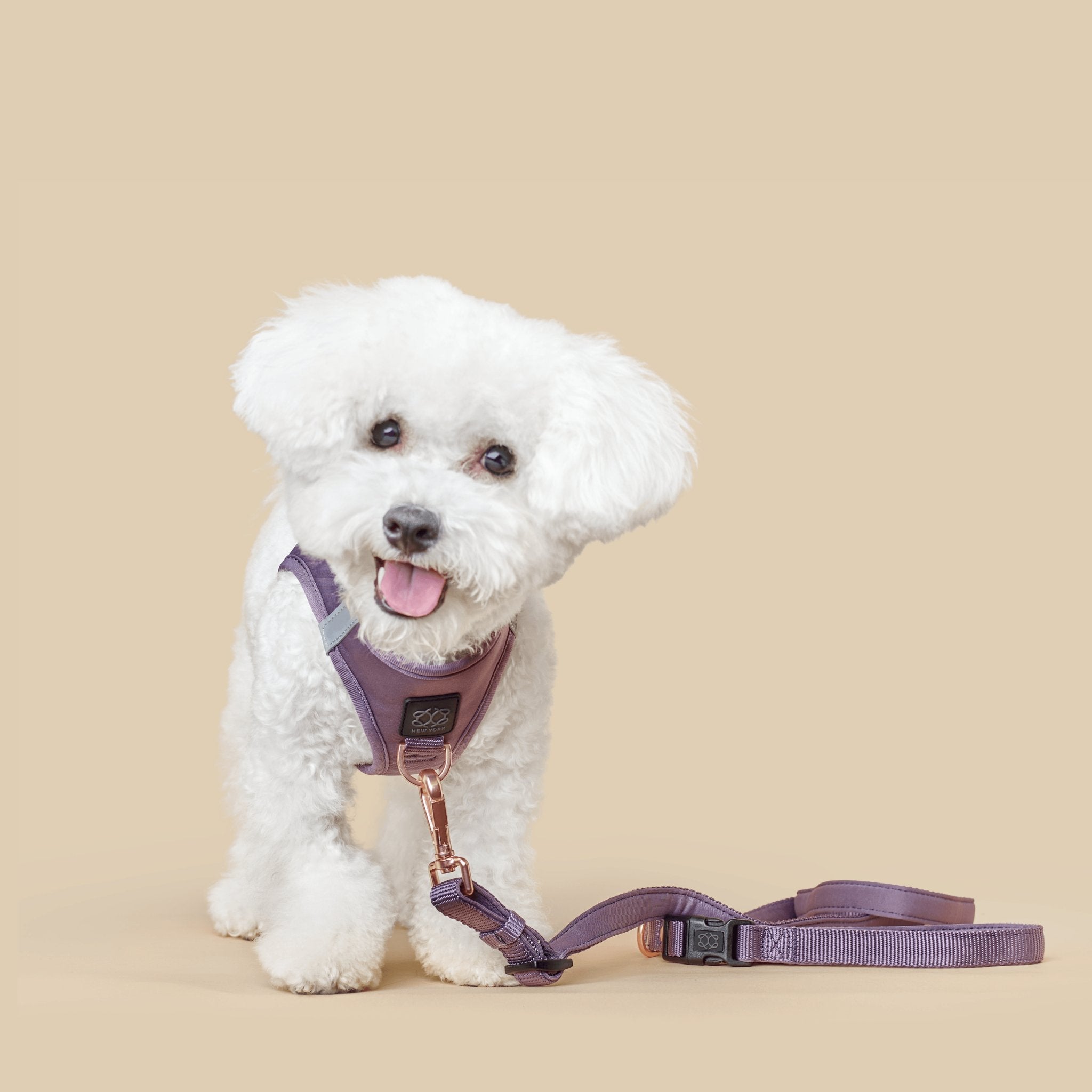 Dogistry SoHo No-Pull Step-In Dog Harness – Lilac Gray with Front D-Ring, Adjustable Velcro & Buckle Closures, Escape-Resistant Luxury Design