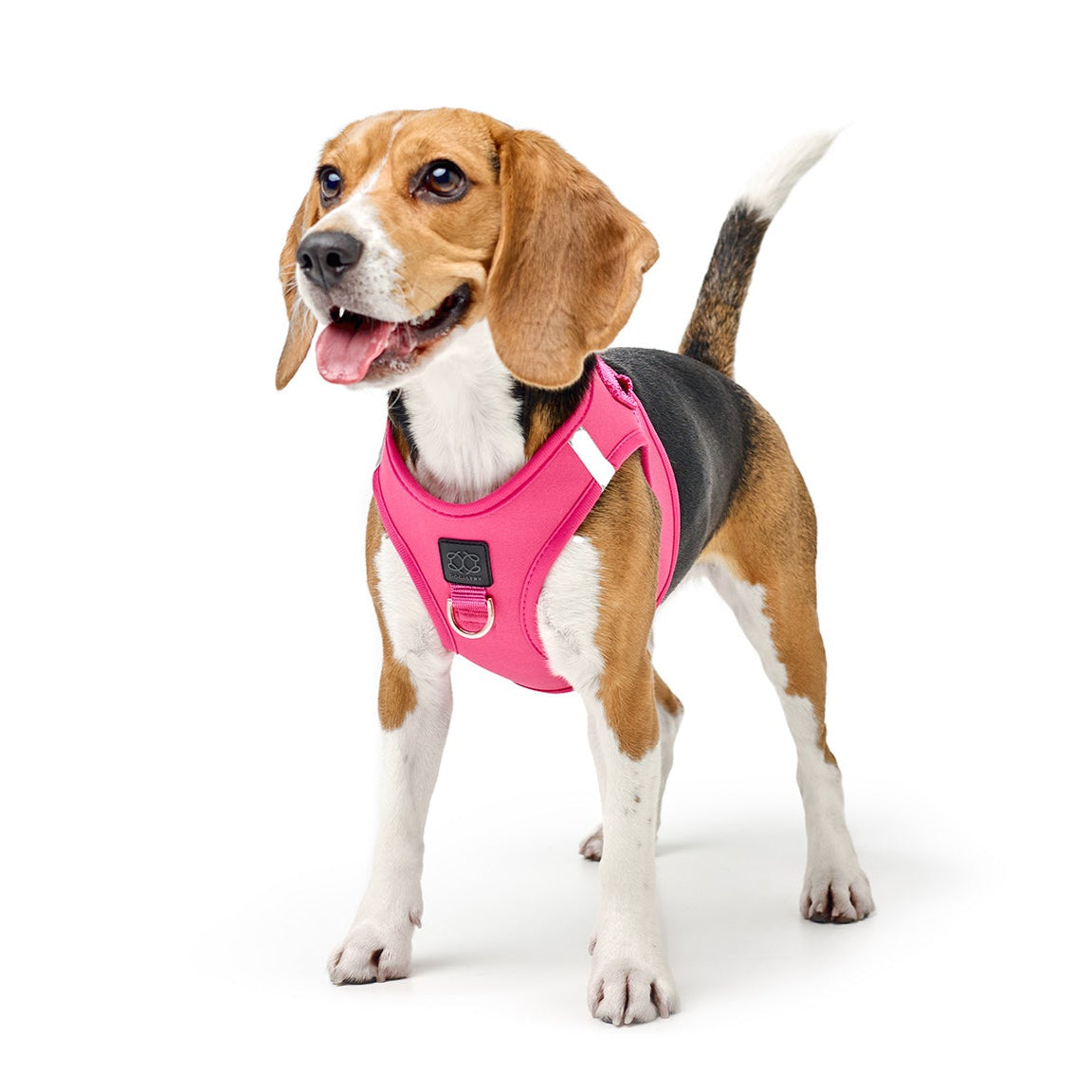 Dogistry SoHo No-Pull Step-In Dog Harness – Park Ave Pink with Front D-Ring, Adjustable Velcro & Buckle Closures, Escape-Resistant Luxury Design