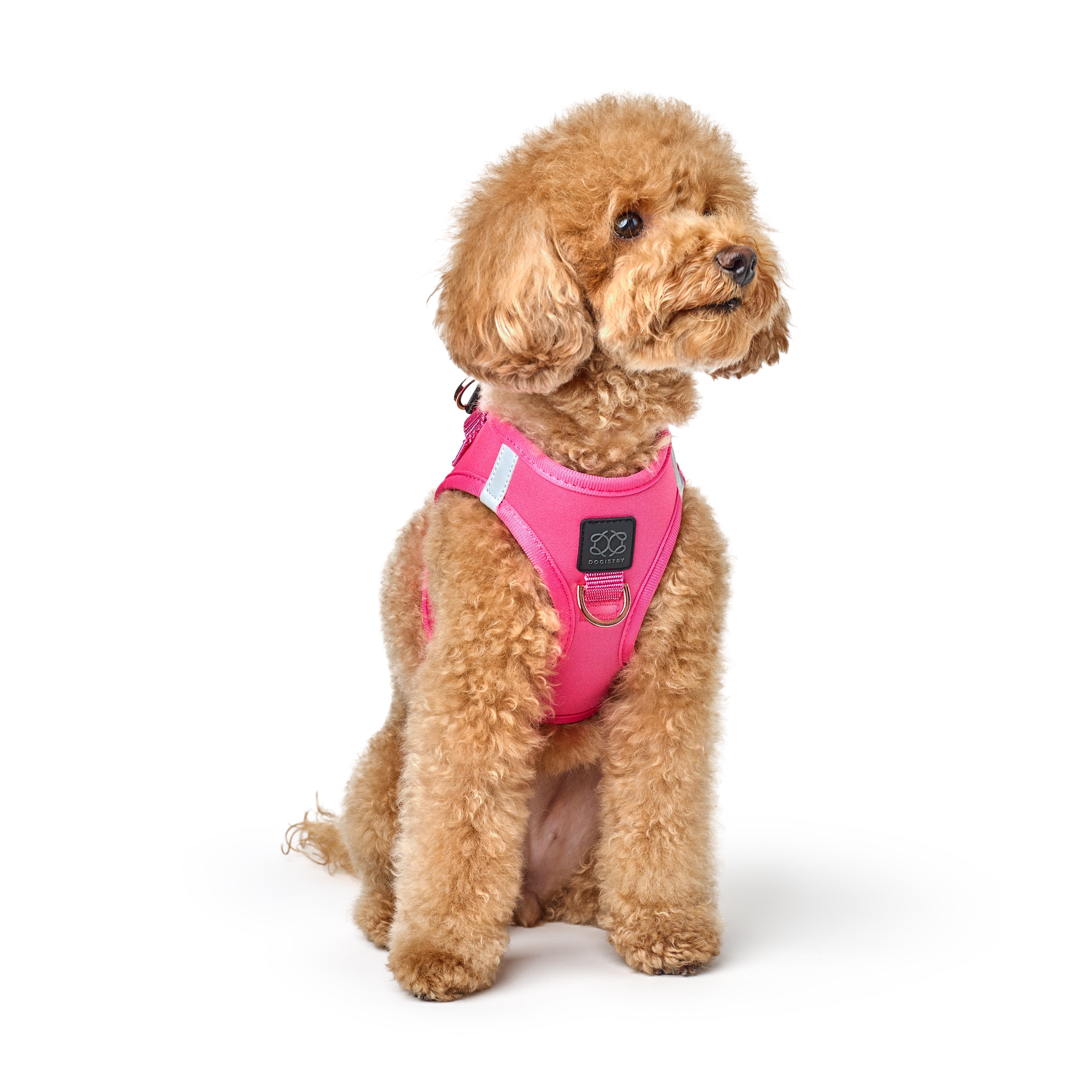 Dogistry SoHo No-Pull Step-In Dog Harness – Park Ave Pink with Front D-Ring, Adjustable Velcro & Buckle Closures, Escape-Resistant Luxury Design