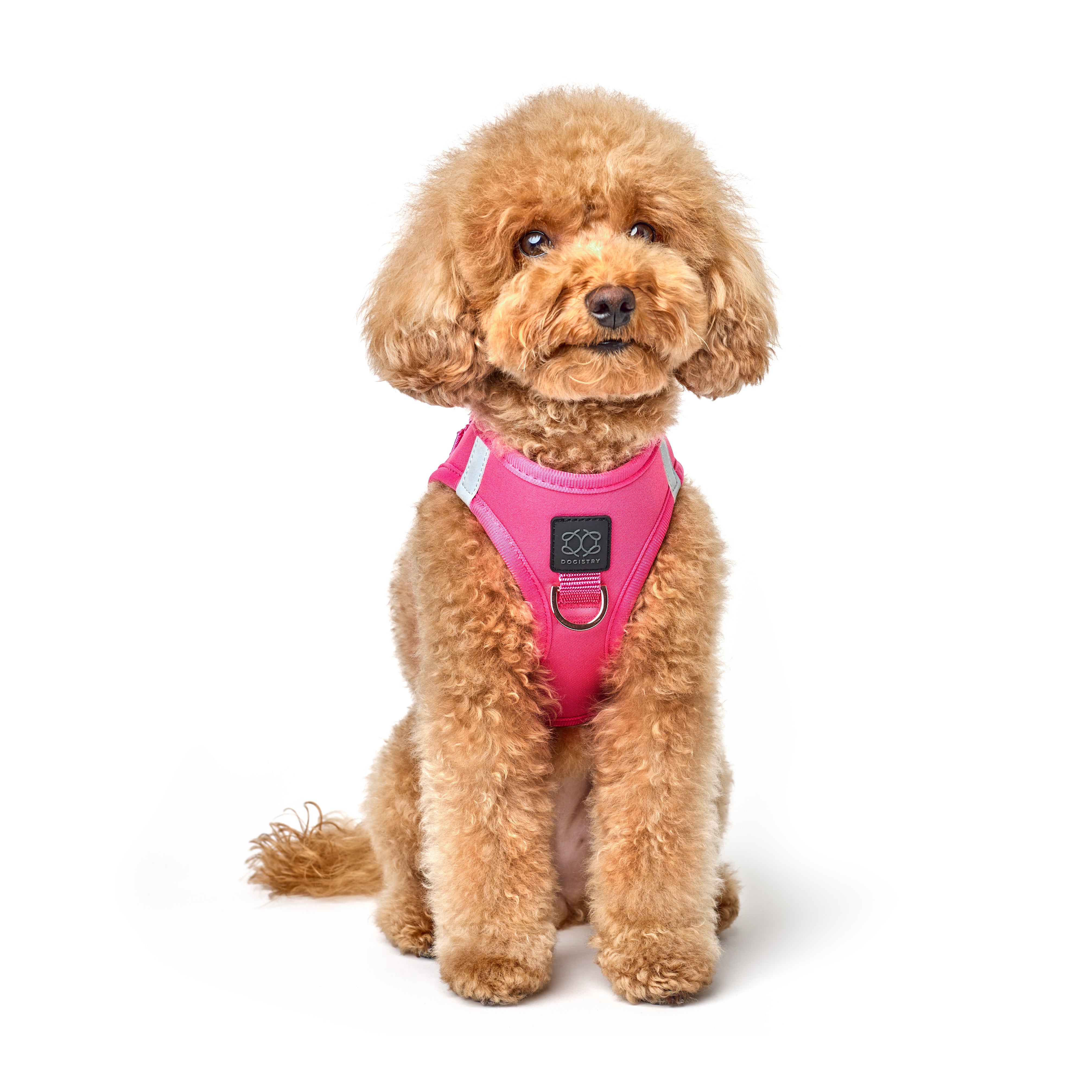 Dogistry SoHo No-Pull Step-In Dog Harness – Park Ave Pink with Front D-Ring, Adjustable Velcro & Buckle Closures, Escape-Resistant Luxury Design