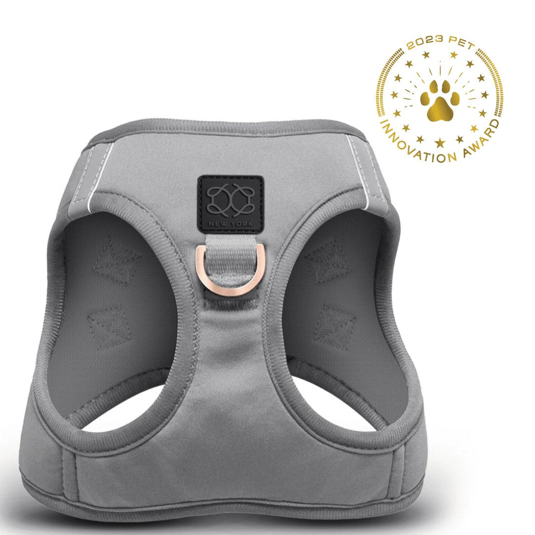Dogistry SoHo No-Pull Step-In Dog Harness – Steel Gray with Front D-Ring, Adjustable Velcro & Buckle Closures, Escape-Resistant Luxury Design