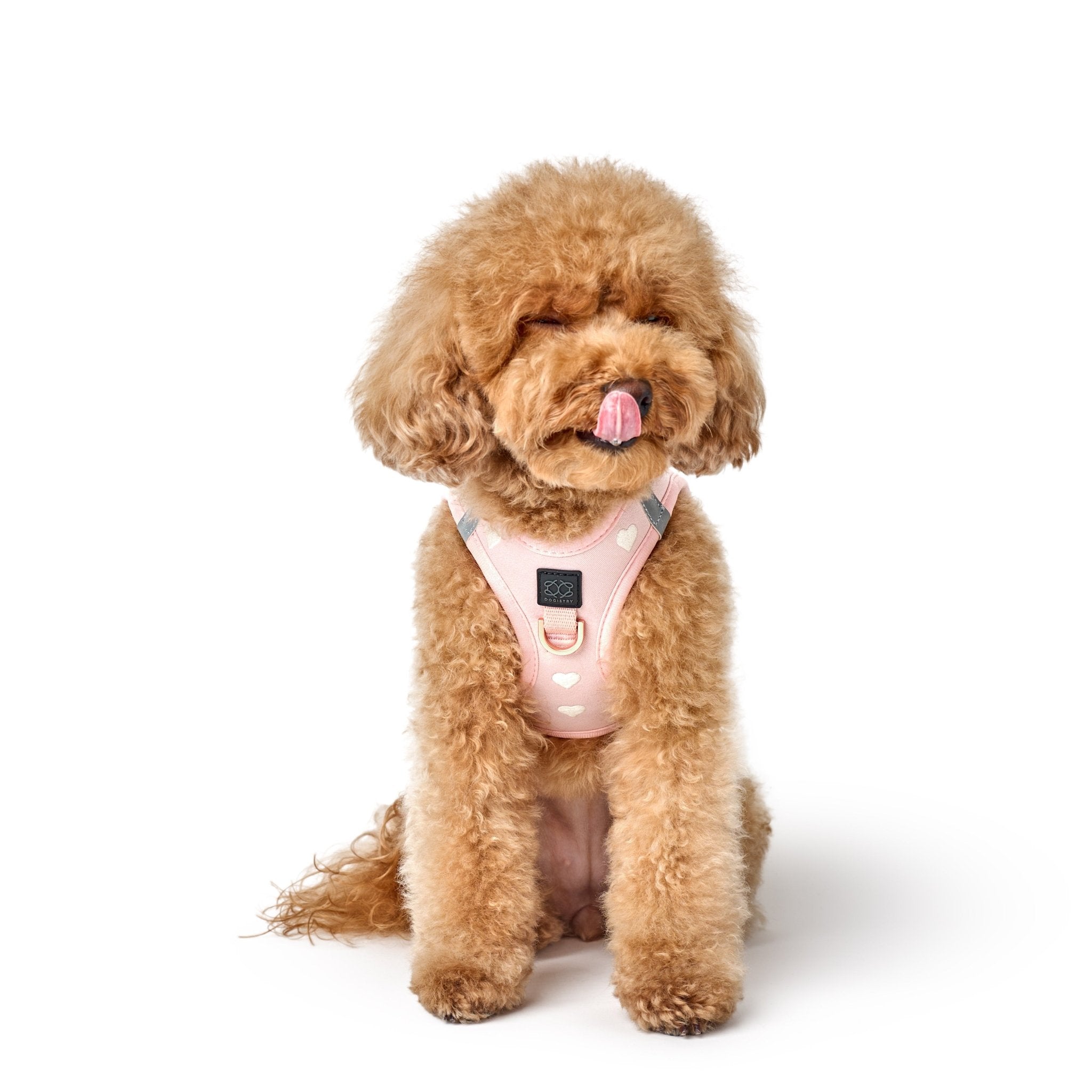 Dogistry SoHo No-Pull Step-In Dog Harness – Blush Pink with Cream Heart Embroidery, Front D-Ring, Adjustable Velcro & Buckle Closures, Escape-Resistant Luxury Design