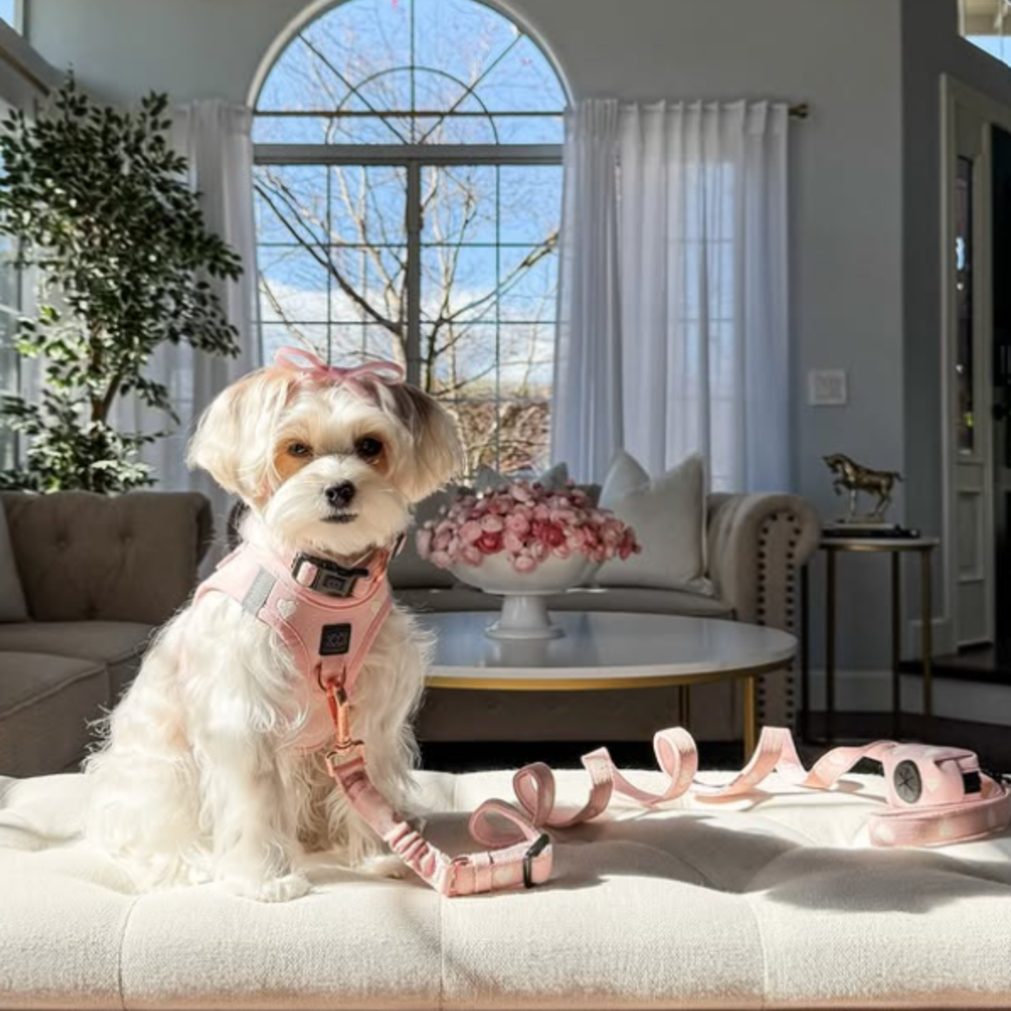 Dogistry SoHo No-Pull Step-In Dog Harness – Blush Pink with Cream Heart Embroidery, Front D-Ring, Adjustable Velcro & Buckle Closures, Escape-Resistant Luxury Design