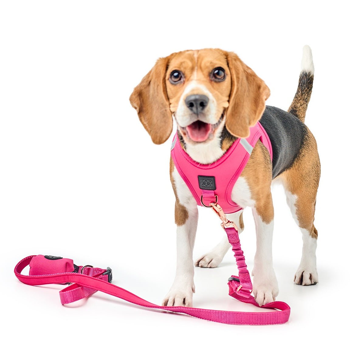 Dogistry 3-in-1 City Dog Leash – Park Ave Pink with Adjustable 2–5 ft Length, Secure Buckled Handle, and Comfort-Enhanced Bungee Design