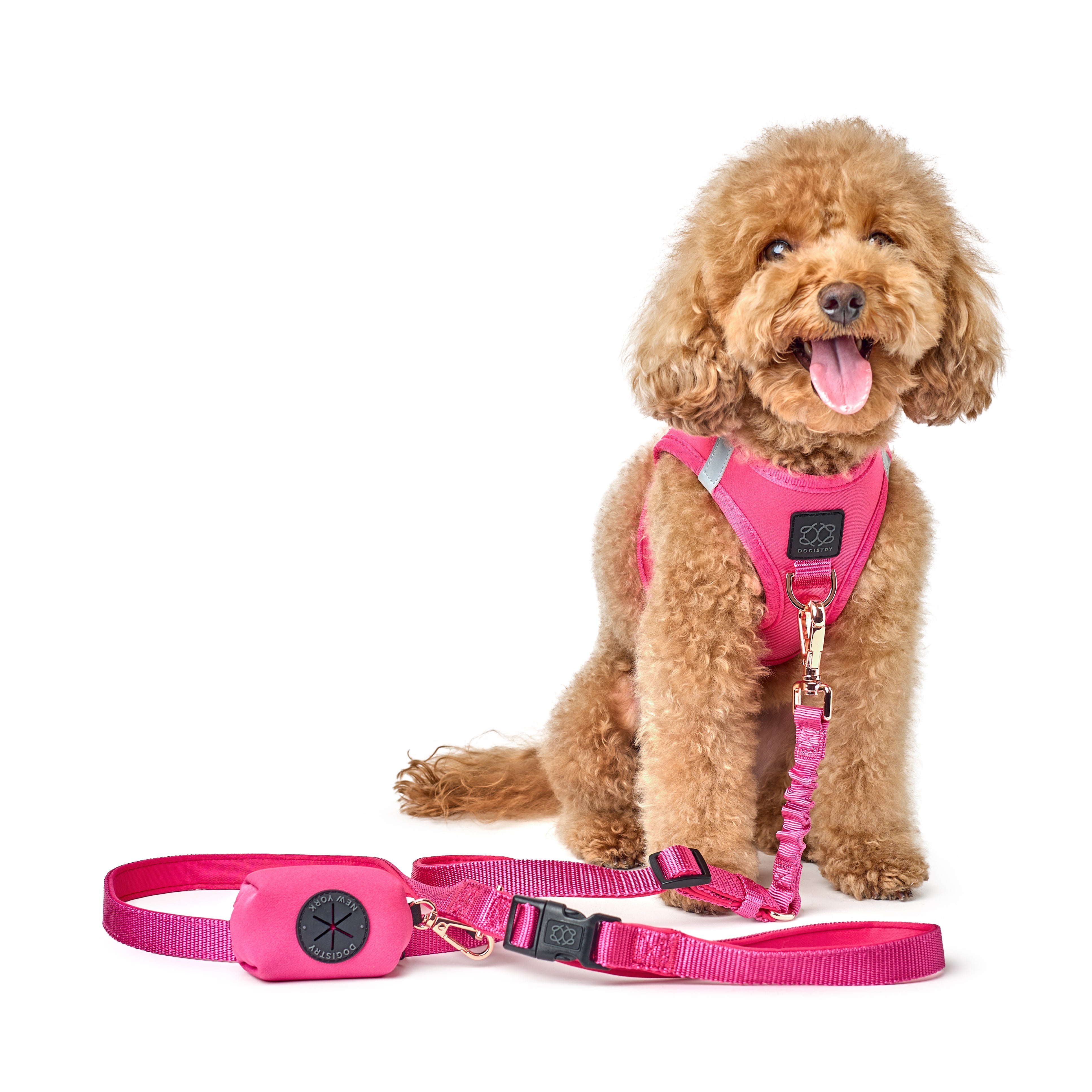 Dogistry 3-in-1 City Dog Leash – Park Ave Pink with Adjustable 2–5 ft Length, Secure Buckled Handle, and Comfort-Enhanced Bungee Design