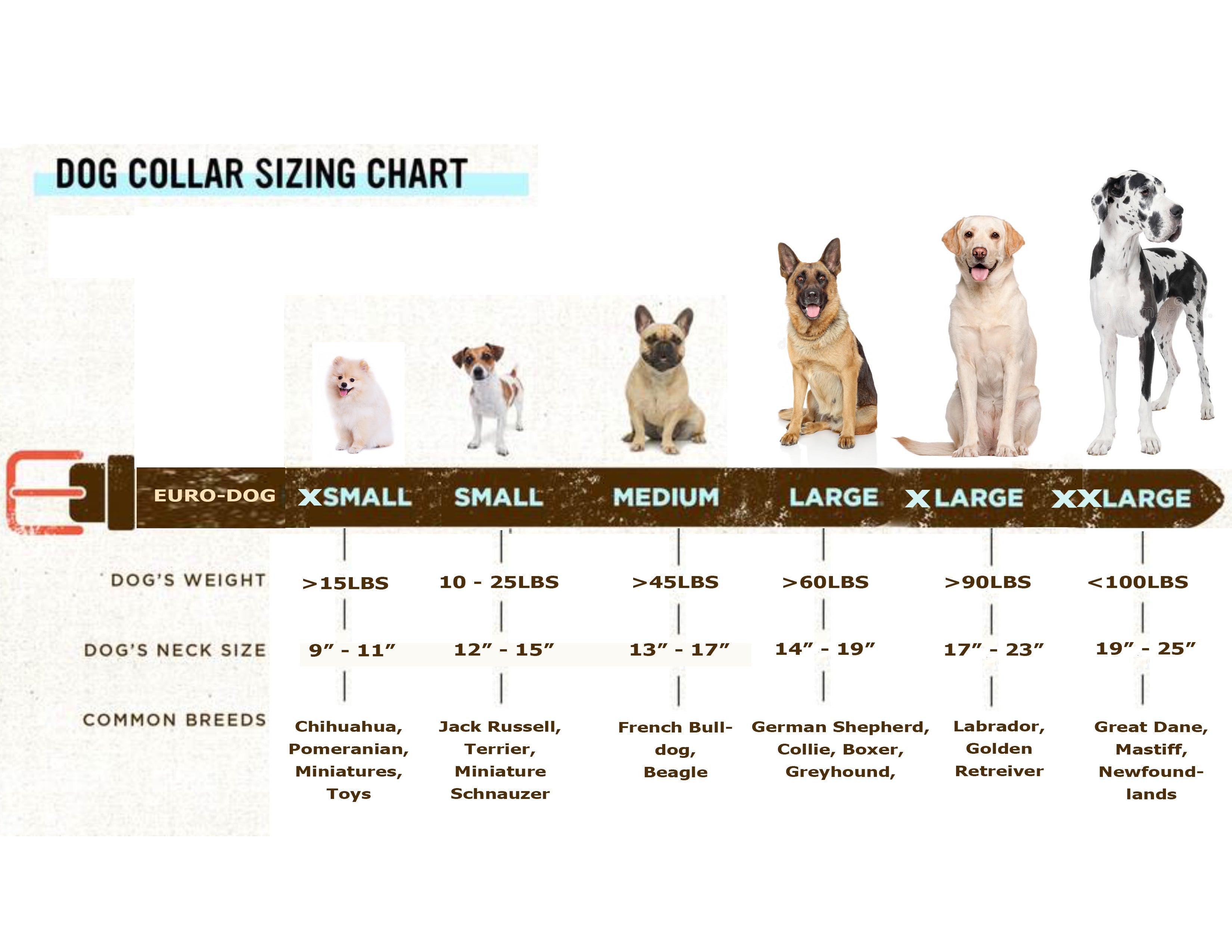 Euro-Dog Traditional Leather Dog Collar – Black Full-Grain American Leather with European Steel Hardware, Made in USA