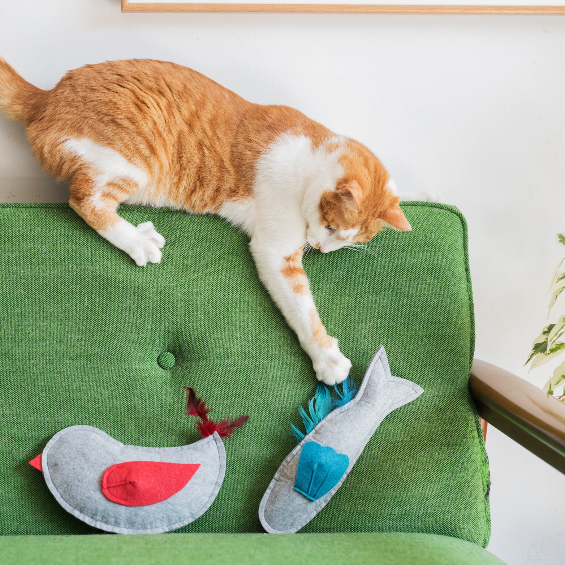 Nooee Pet Felt Animal Toy – Soft & Durable Indoor Play Toy for Dogs & Cats, Lightweight Polyester Felt, Multiple Shapes (Dog, Elephant, Fish, Bird), Sizes 7.5”–10”