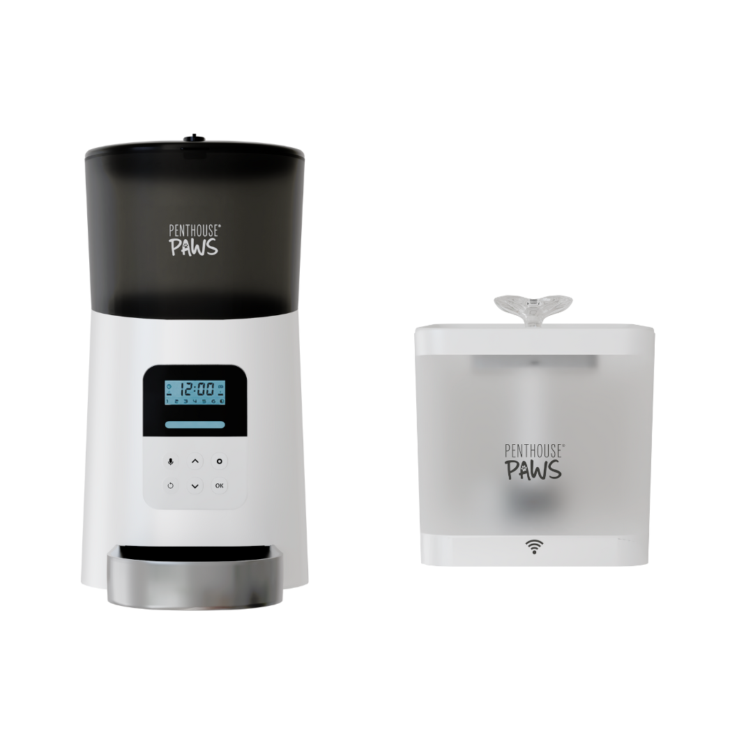 Automatic Cat Feeder & Smart Water Fountain – 6L Programmable Pet Feeder with Portion Control, Voice Recording & Twist-Lock Storage + 2.2L App-Controlled BPA-Free Water Dispenser with 5-Level Filtration