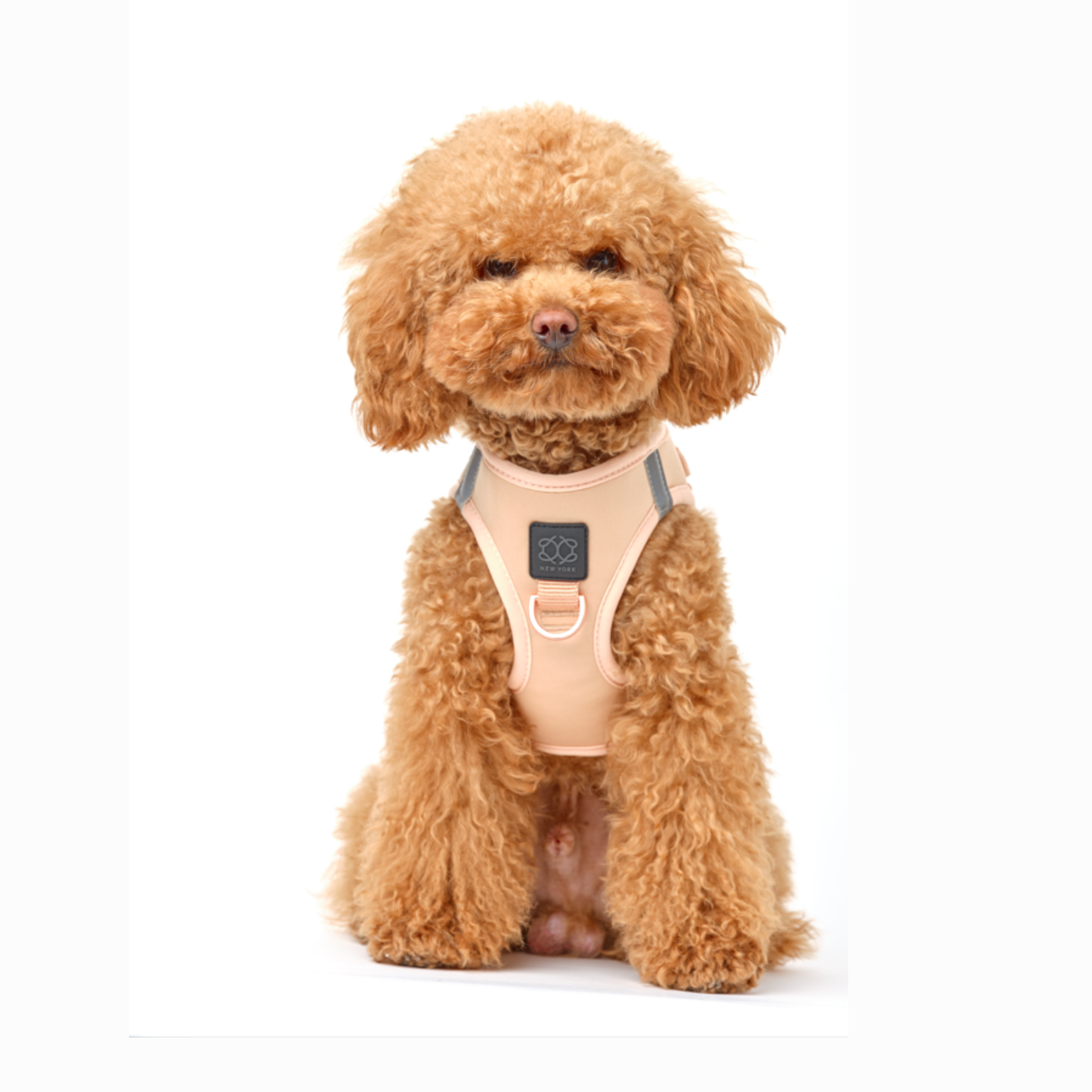 Dogistry SoHo No-Pull Step-In Dog Harness – Dune Beige with Front D-Ring, Adjustable Velcro & Buckle Closures, Escape-Resistant Luxury Design