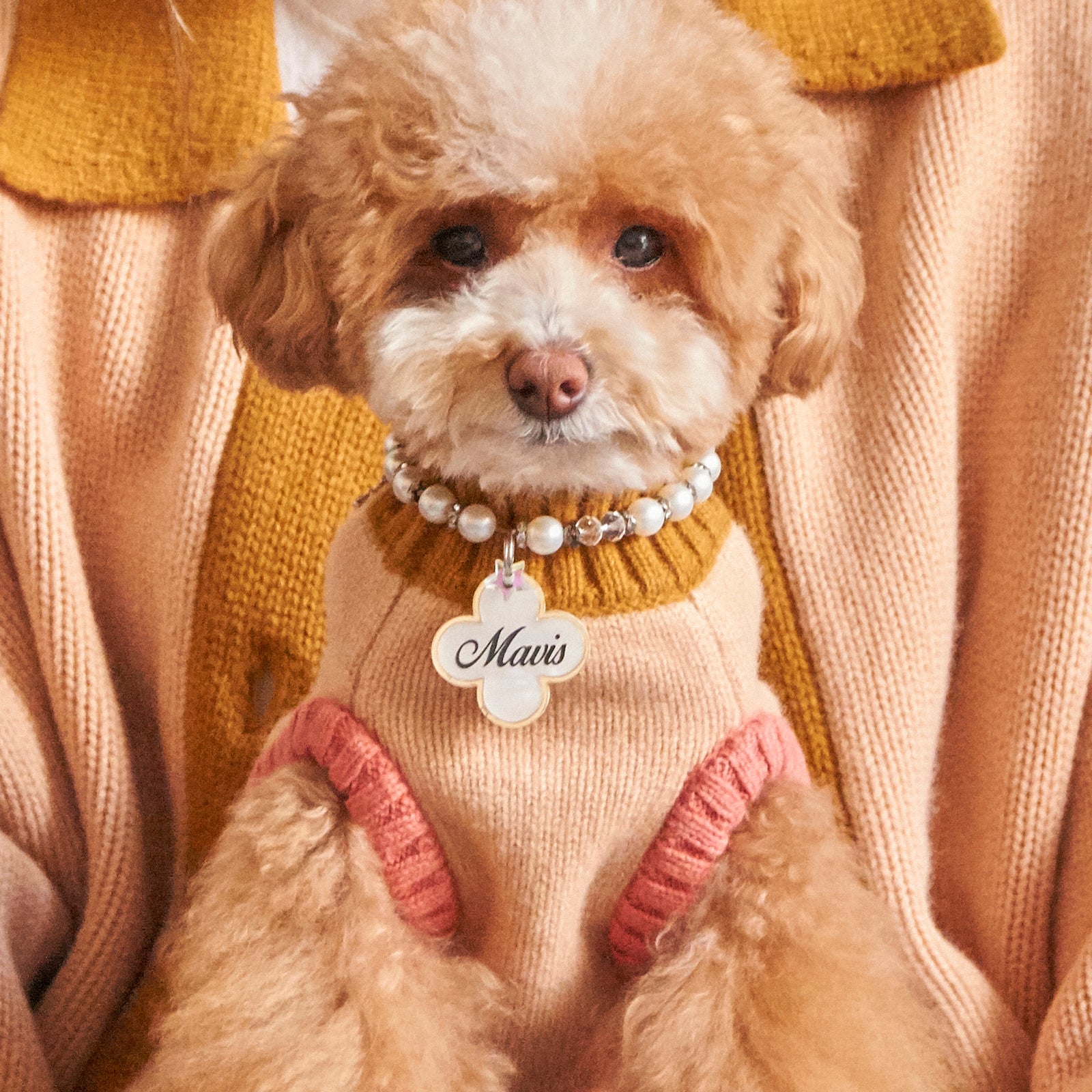 Nooee Pet Fawn Sweater – 100% Merino Wool Chunky Knit Dog Sweater by DEMYLEE, Cropped Cozy Fit with Collar/Harness Hole, Sizes S–L, Fits Dogs Up to 30 lbs