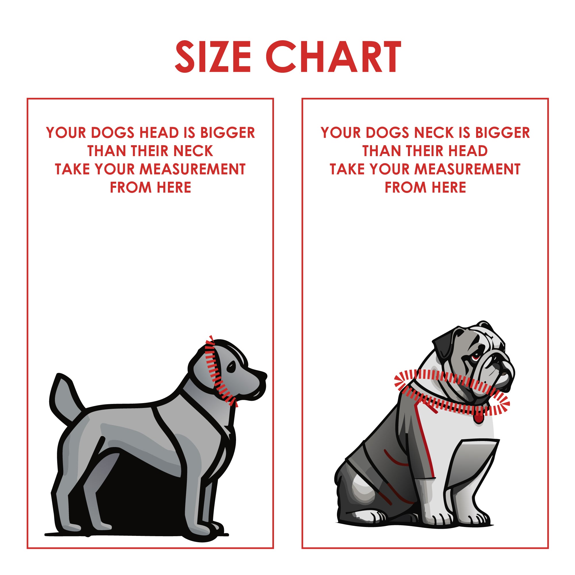 Large Norte Slip Dog Collar | 25–29" Fit | Tuenne