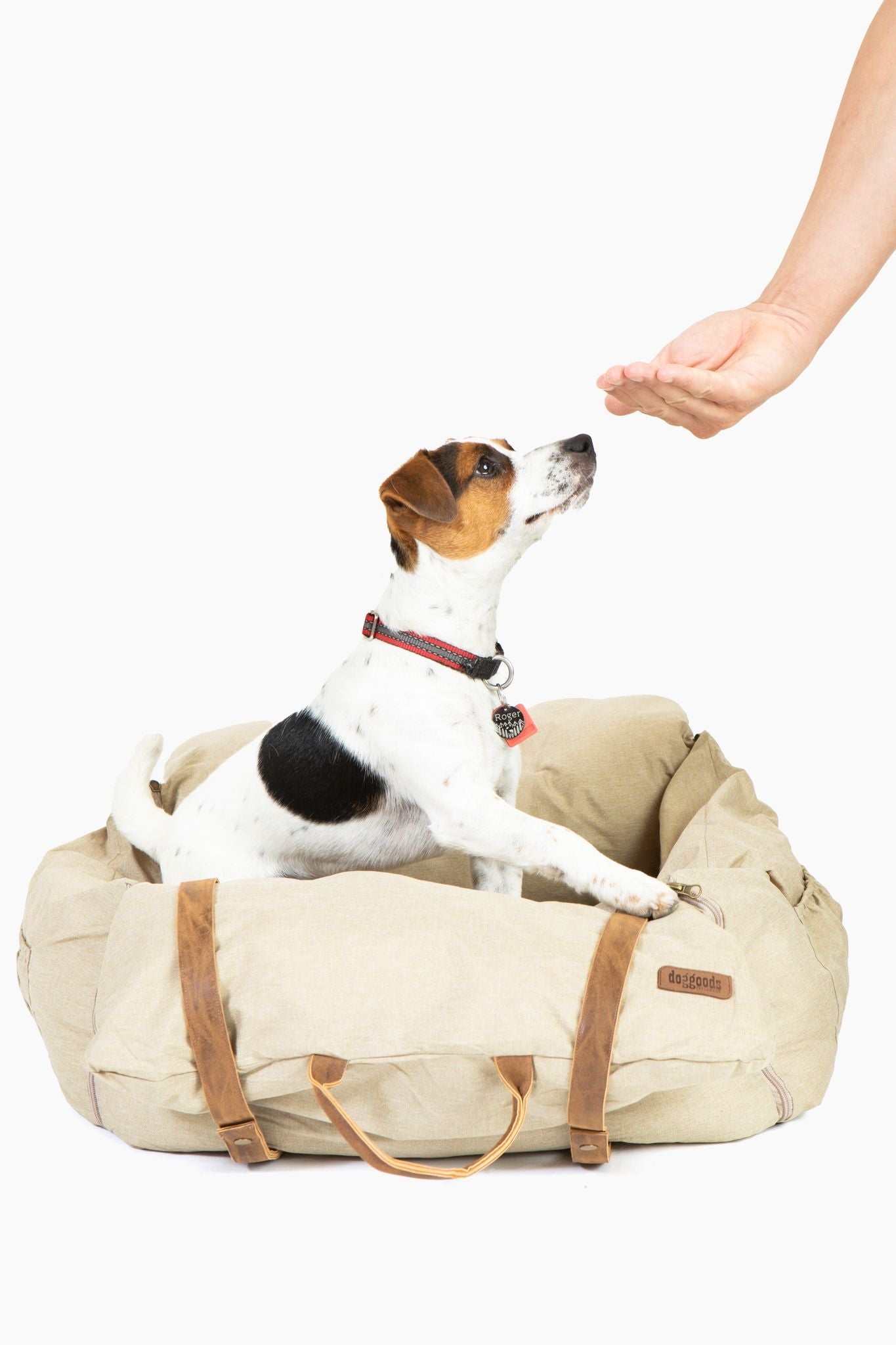 Car Bed for Dogs by DogGoods ™